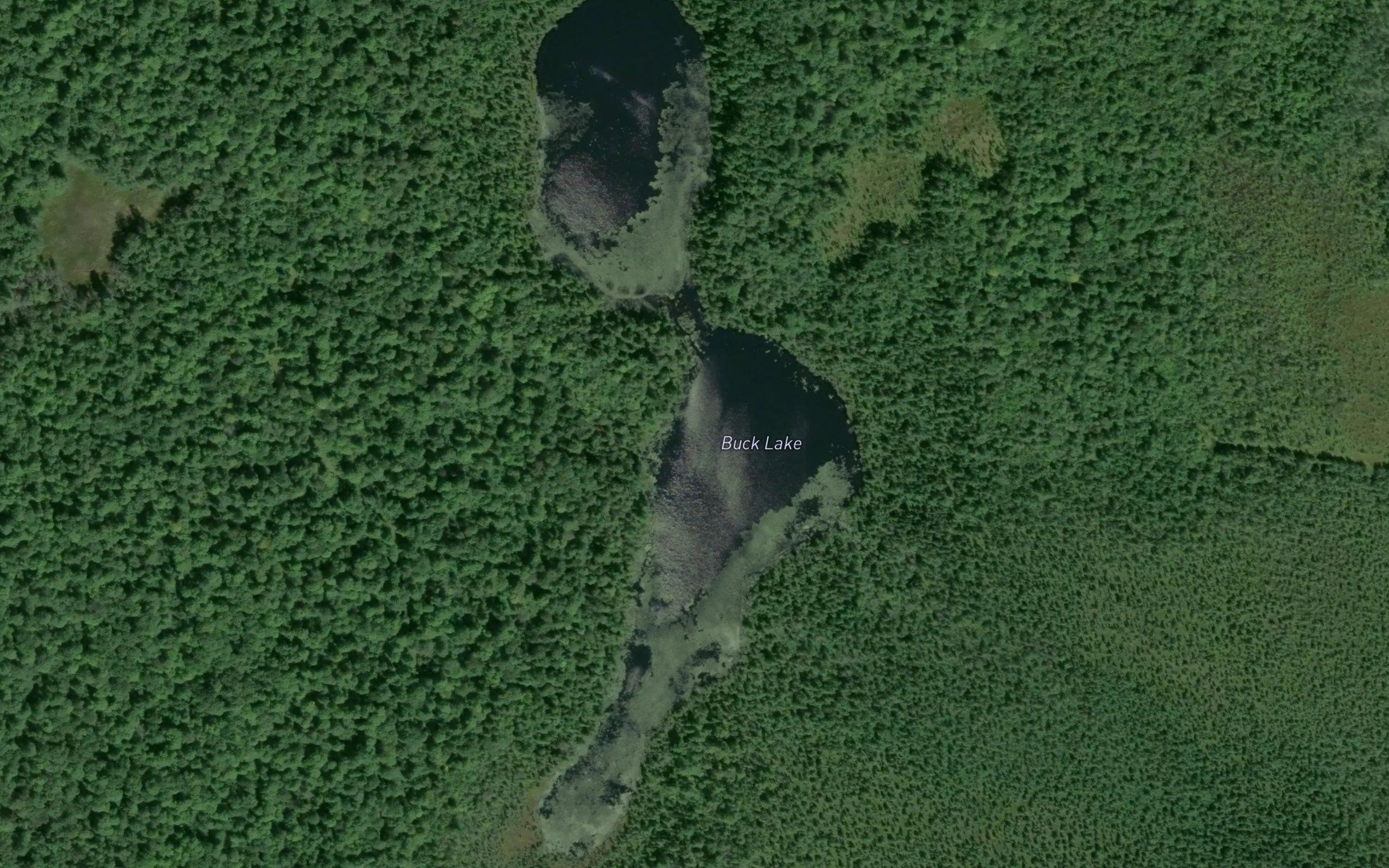 Buck Lake