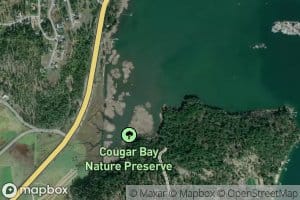 Cougar Creek