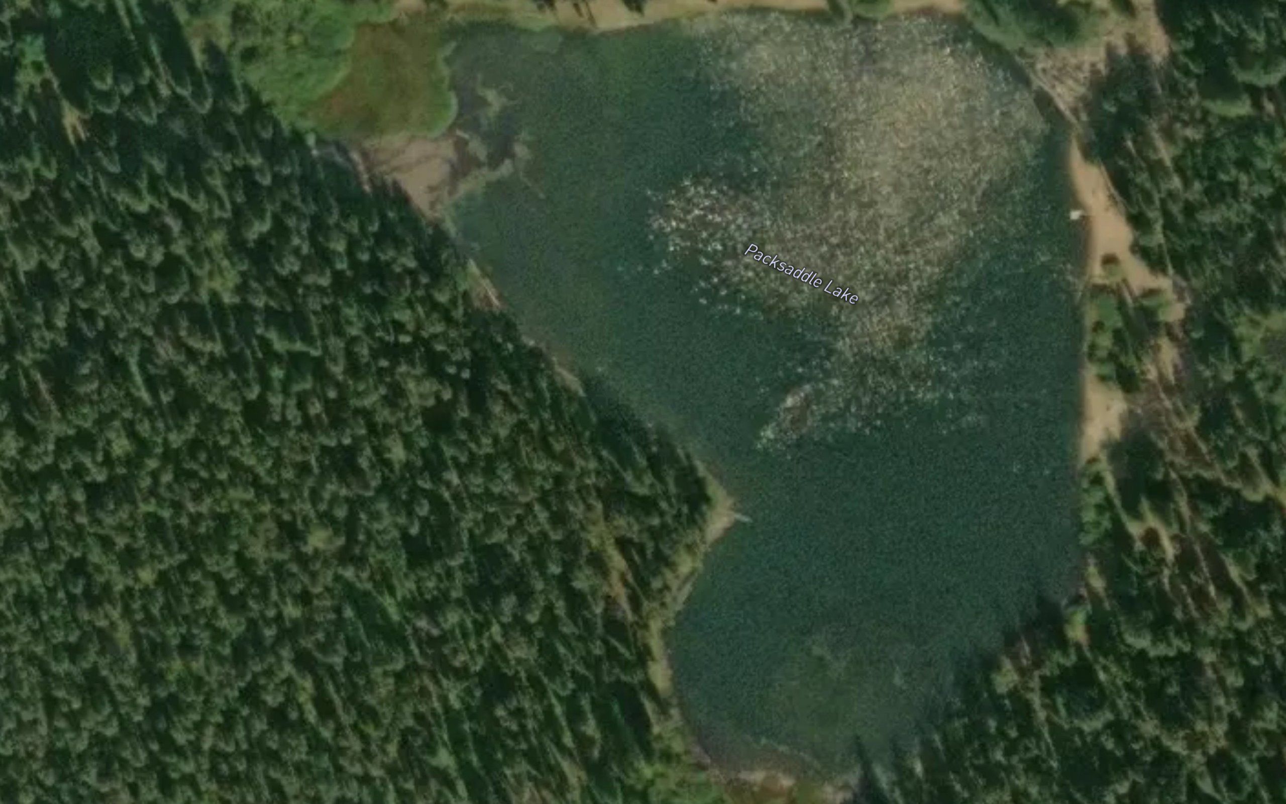Packsaddle Lake
