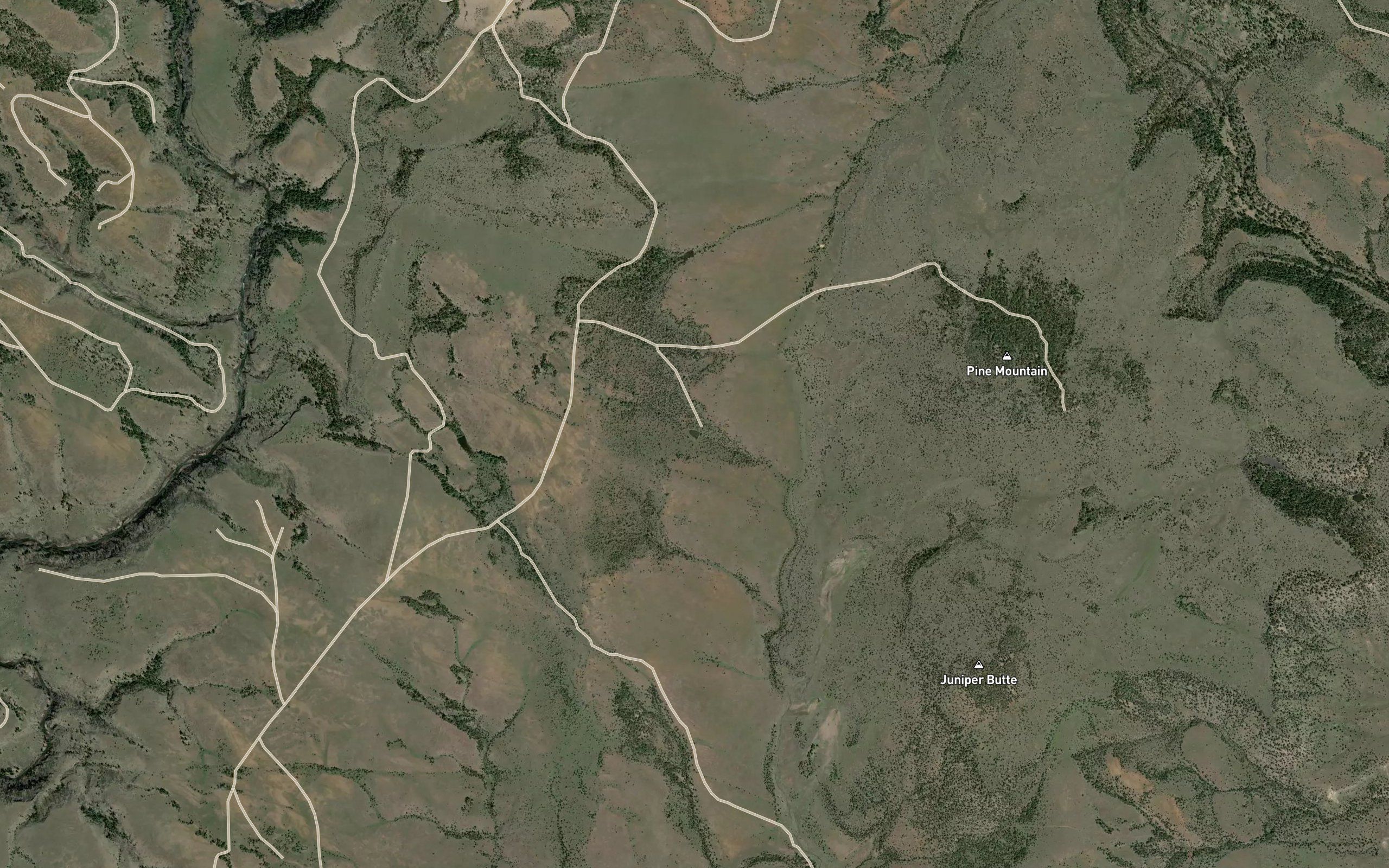 Bone Reservoir
