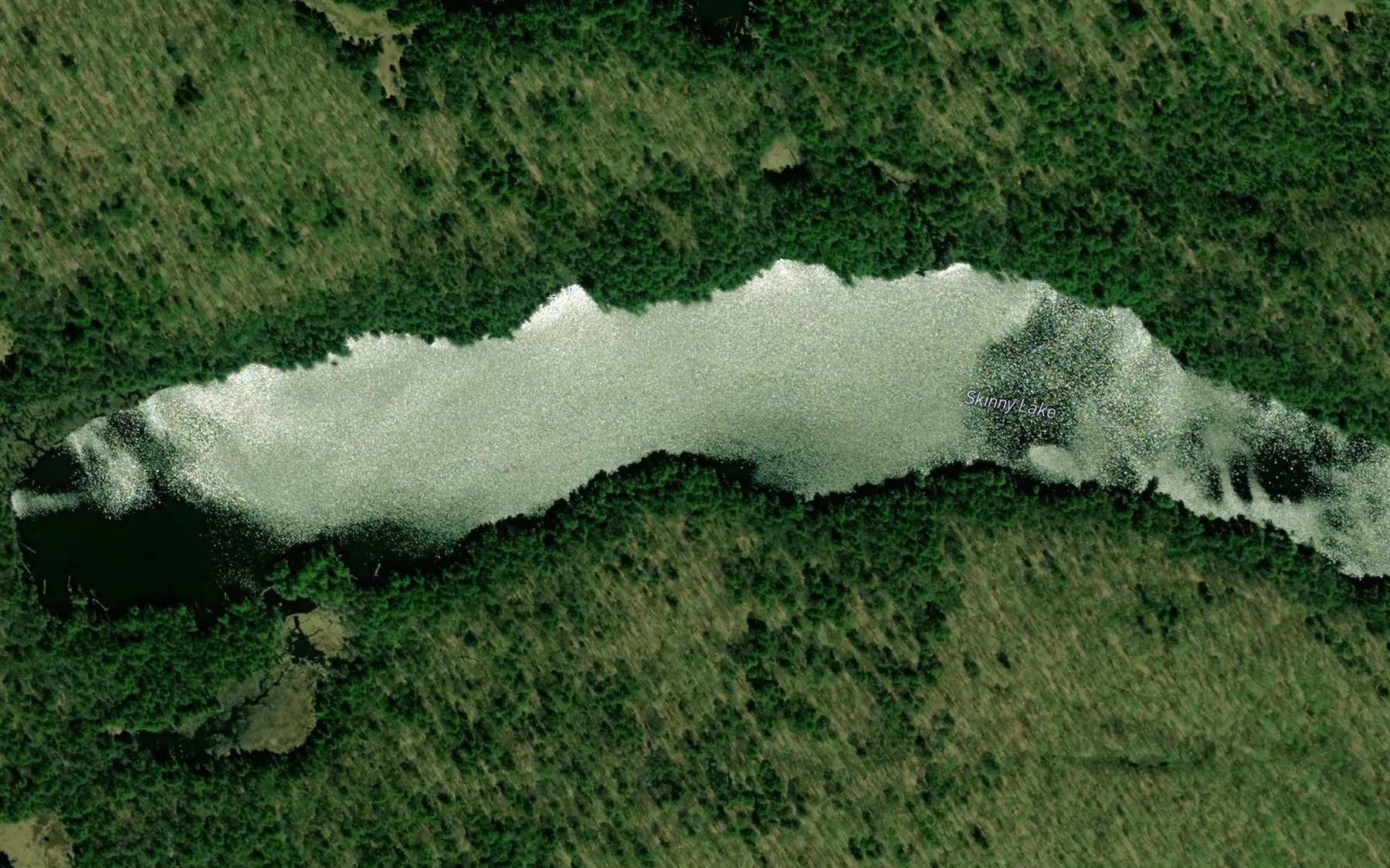 Satellite map of the Skinny Lake