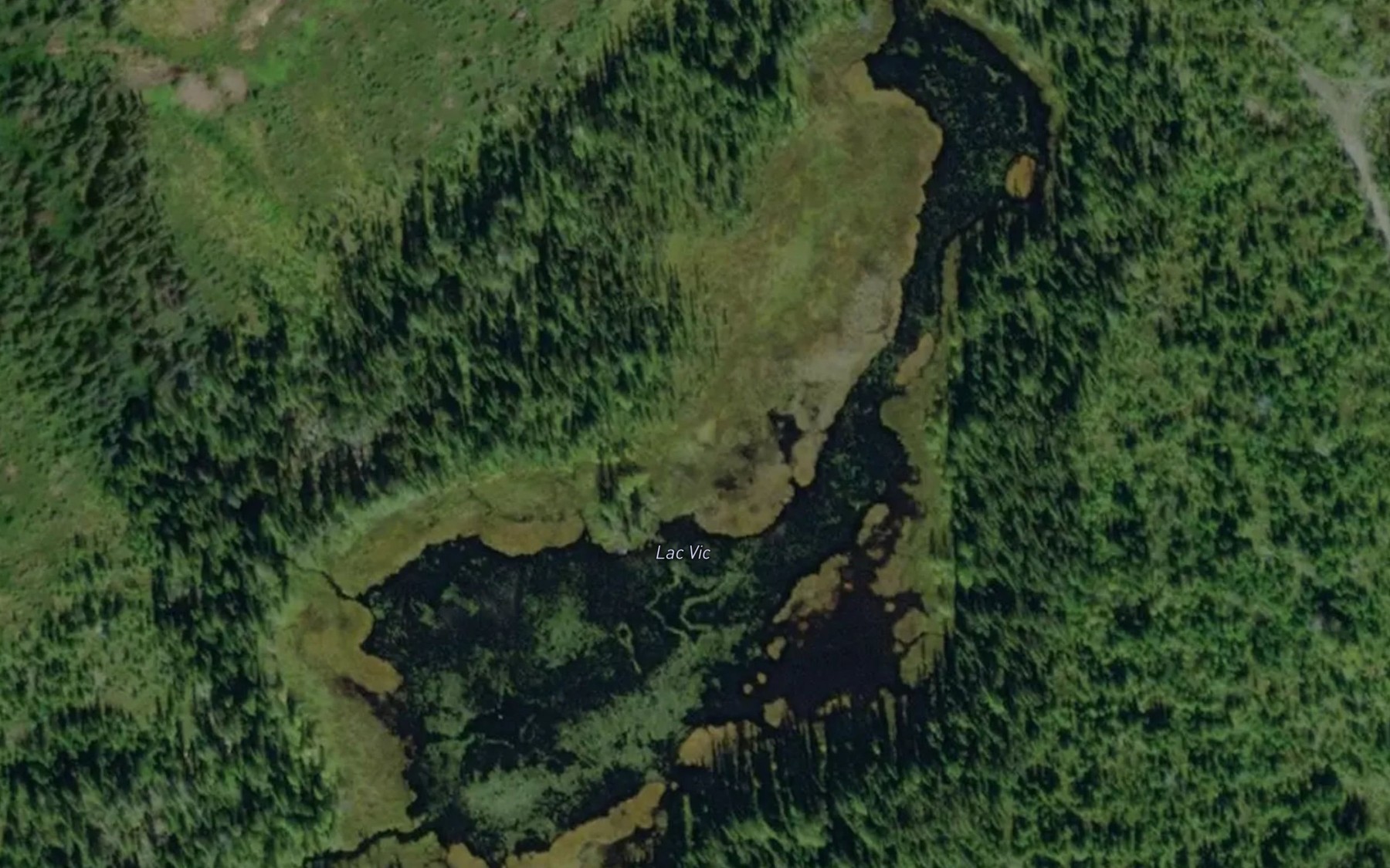 Satellite map of the Lac Vic