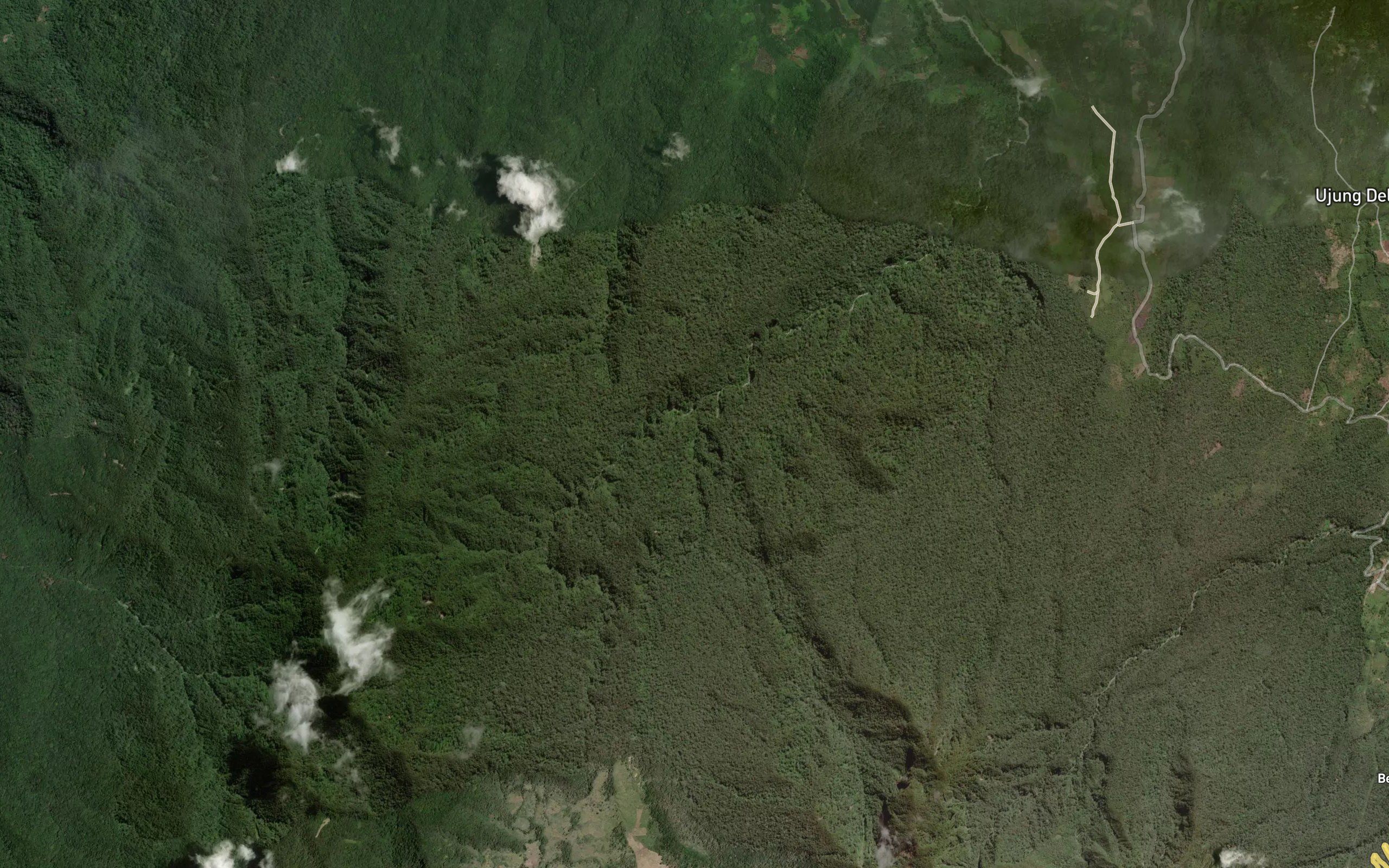 Lao Perusikan