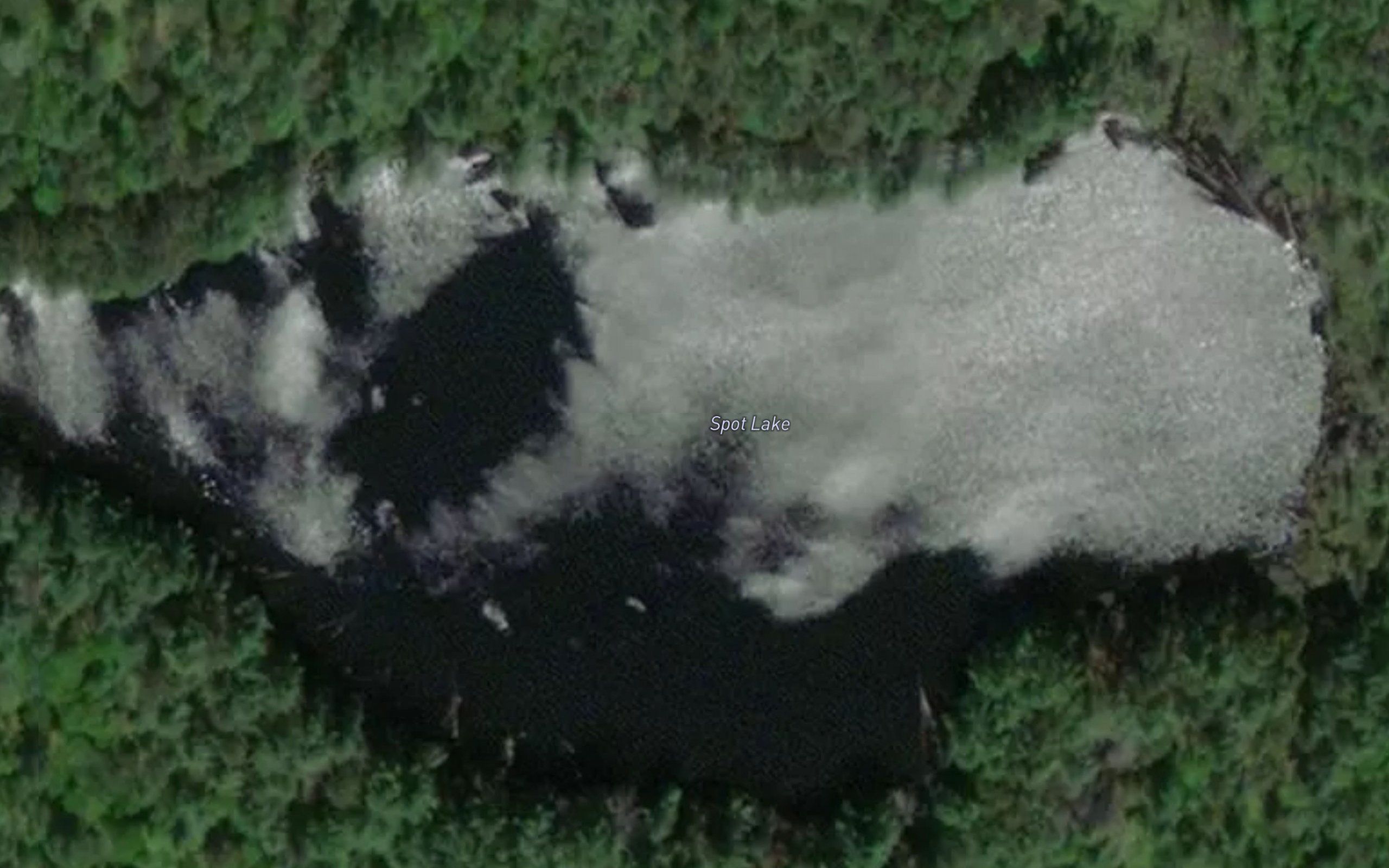 Spot Lake