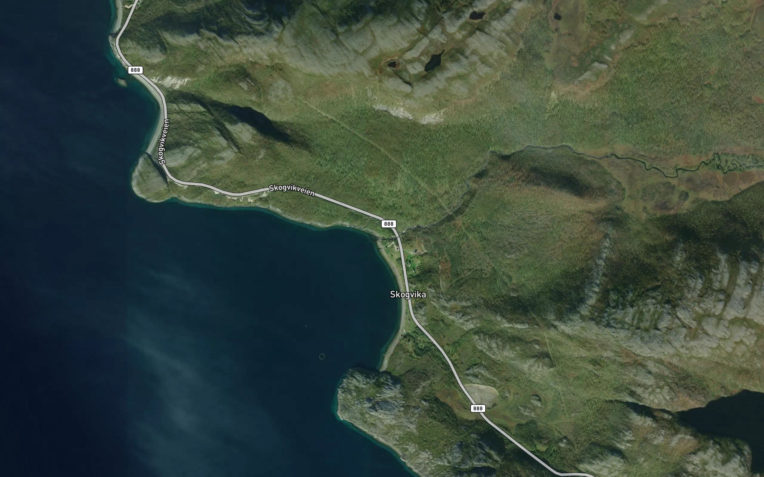 Skogvikelva