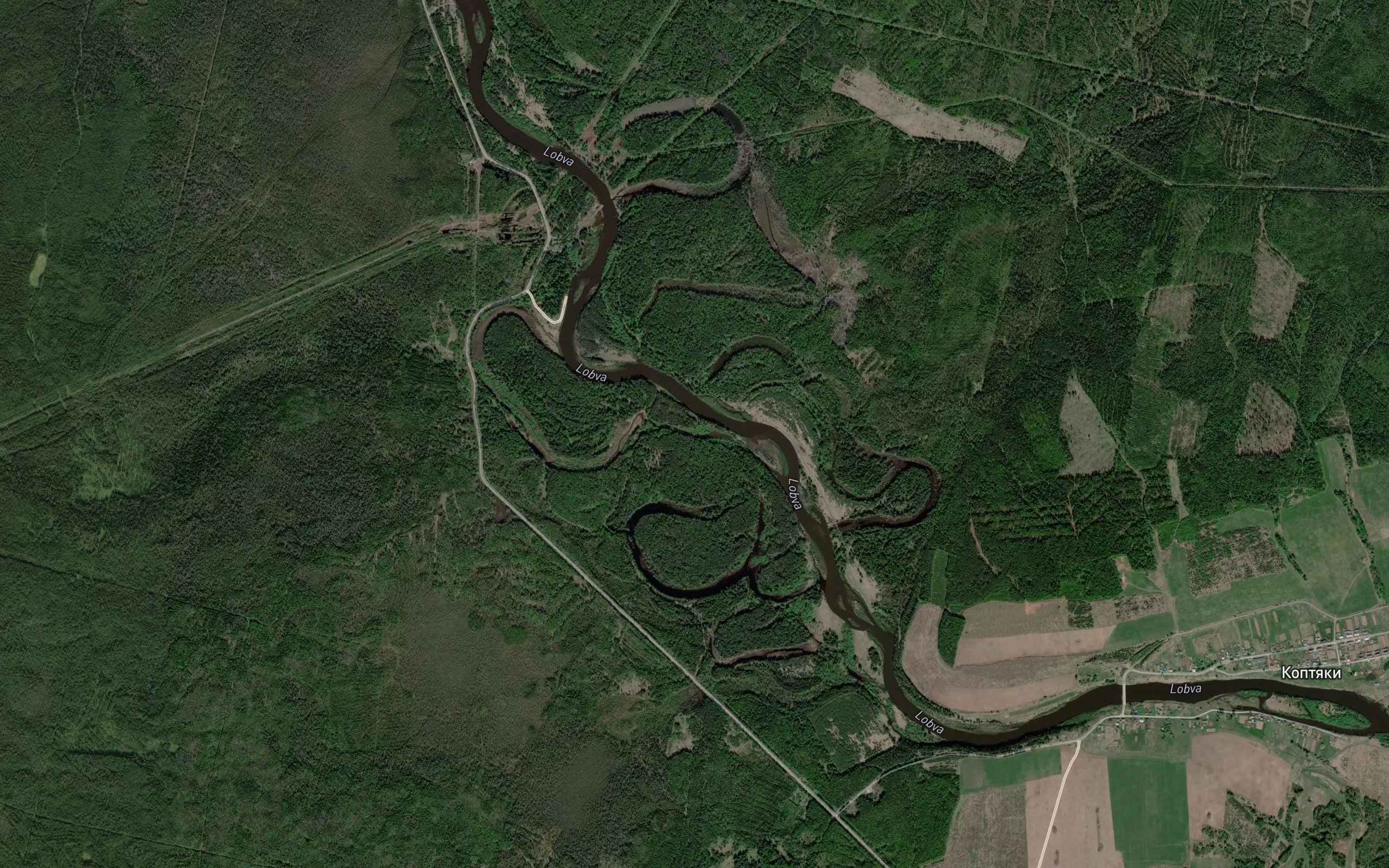 Kedrovaya