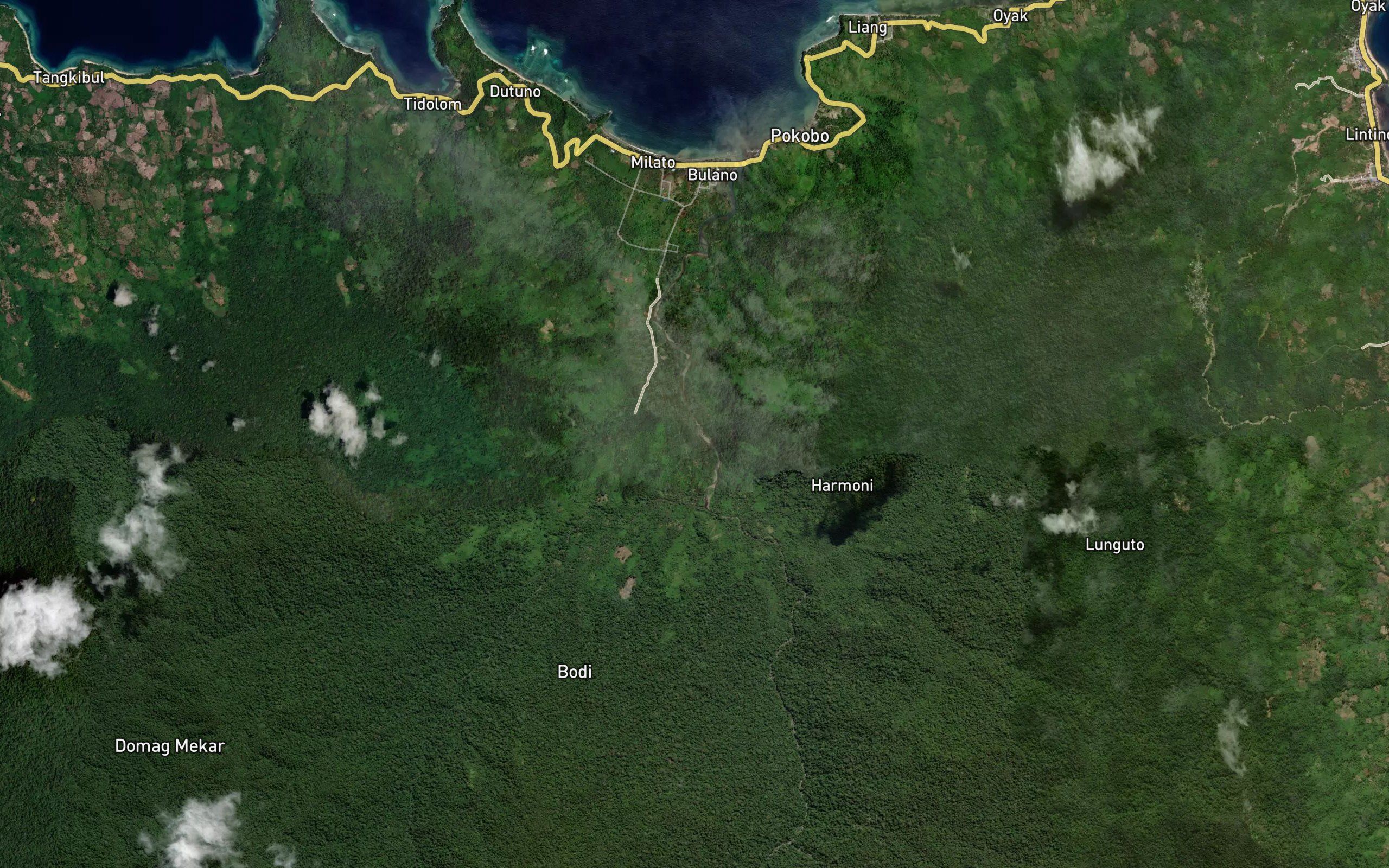 Butakio Totanggelodidi