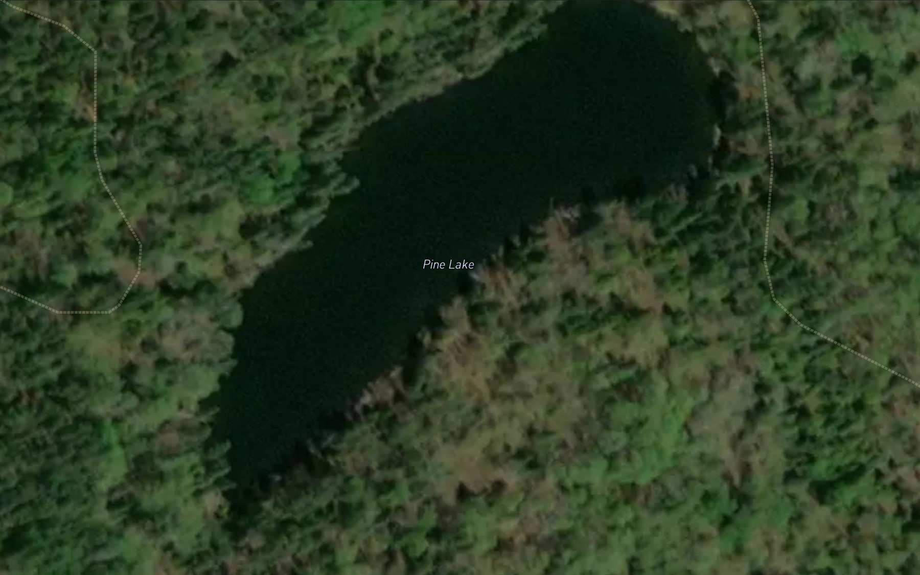 Satellite map of the Pine Lake