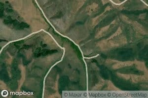 Coyote Creek