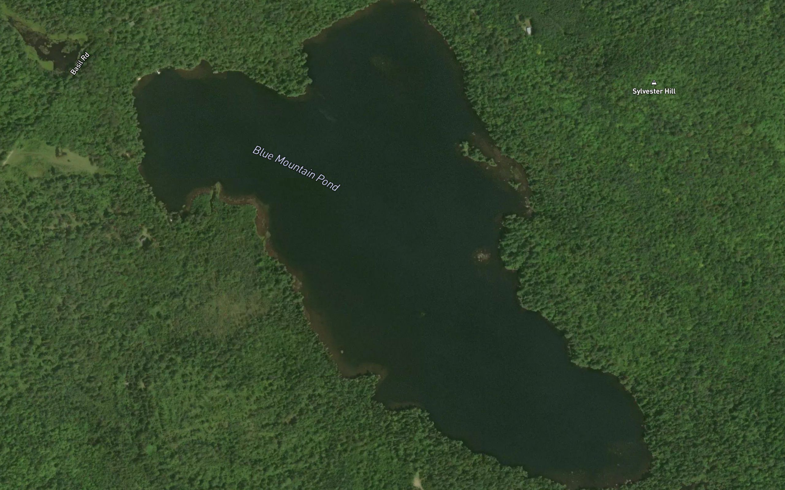 Mount Blue Pond