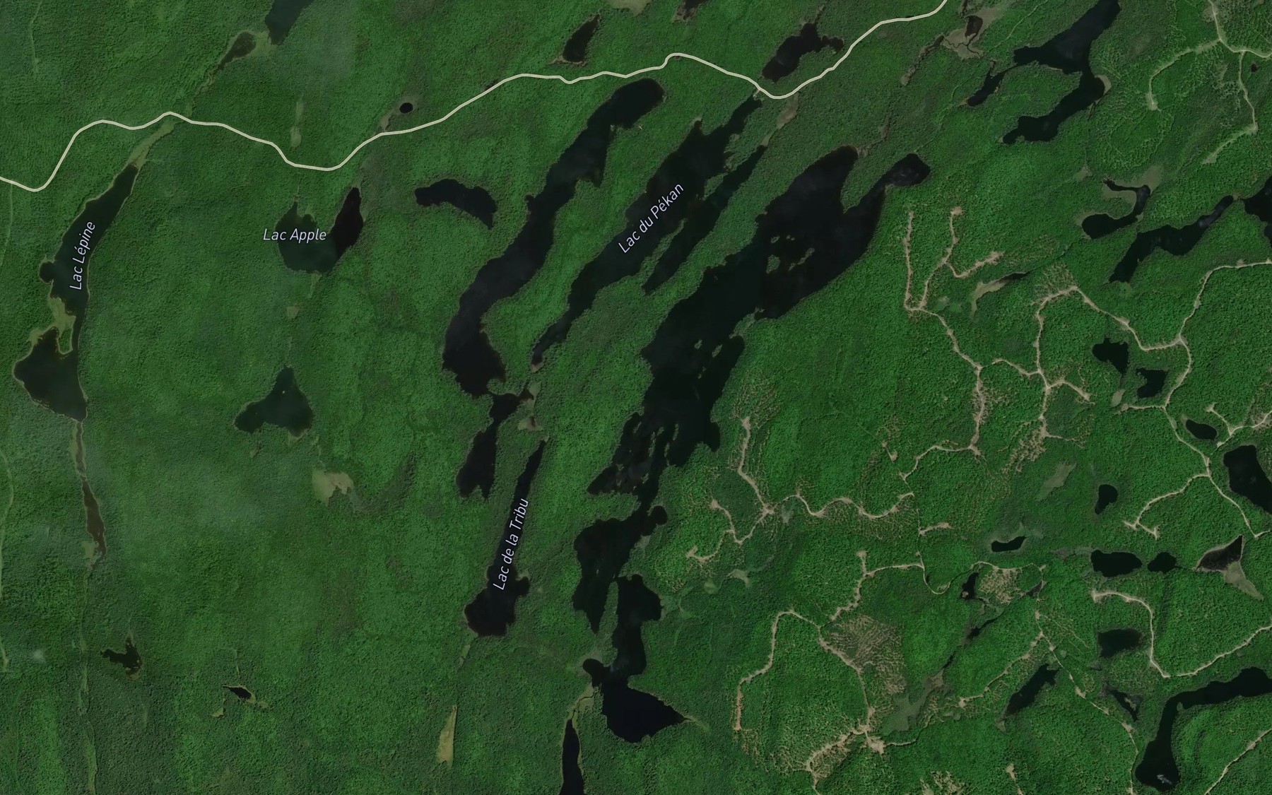 Satellite map of the Lac du Pekan