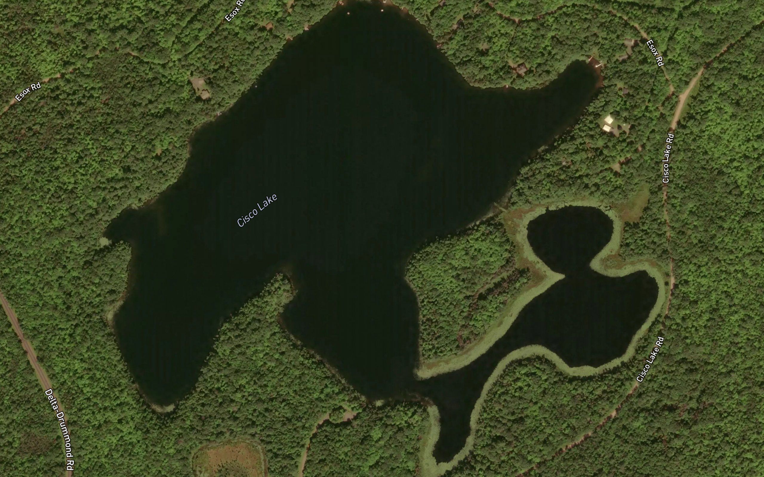 Cisco Lake