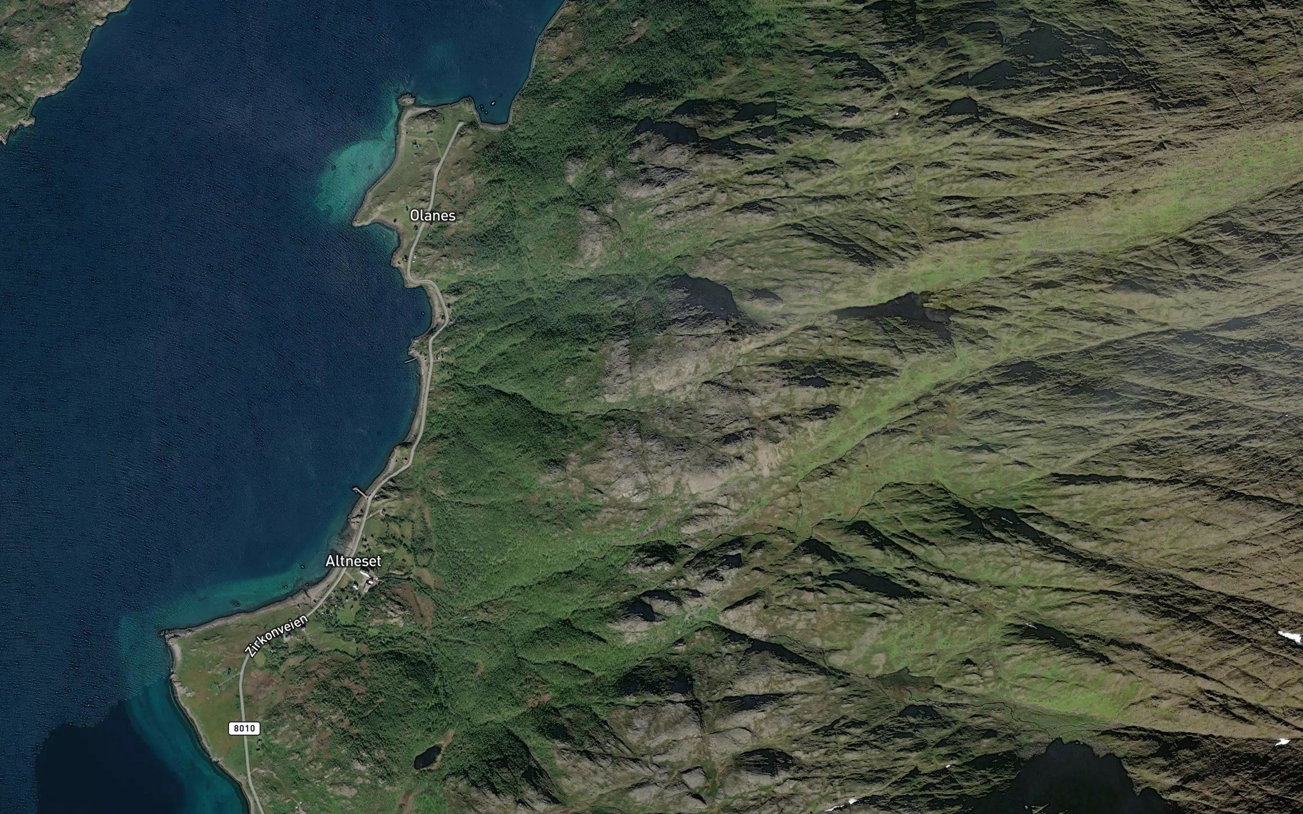 Dagsvollelva