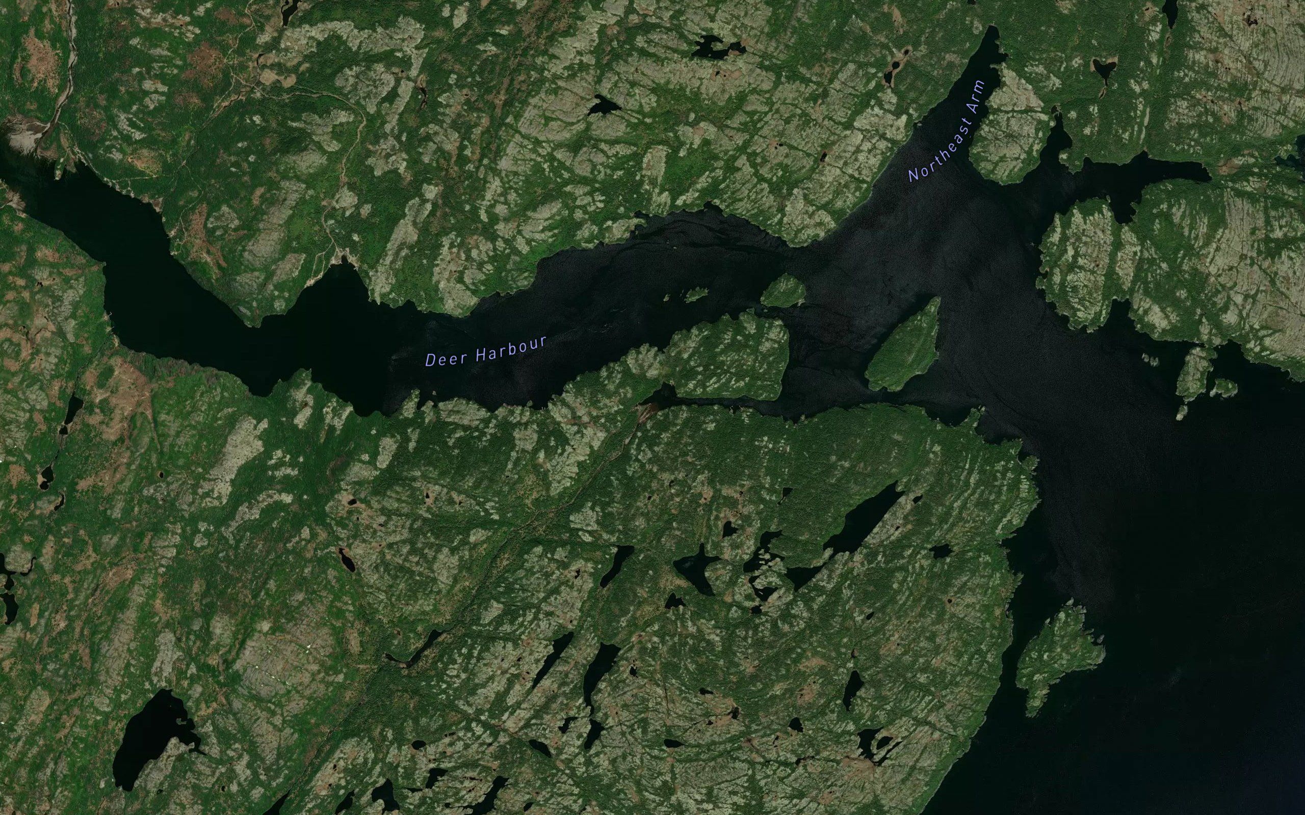 Southwest Arm River