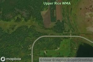 Rice Lake Upper