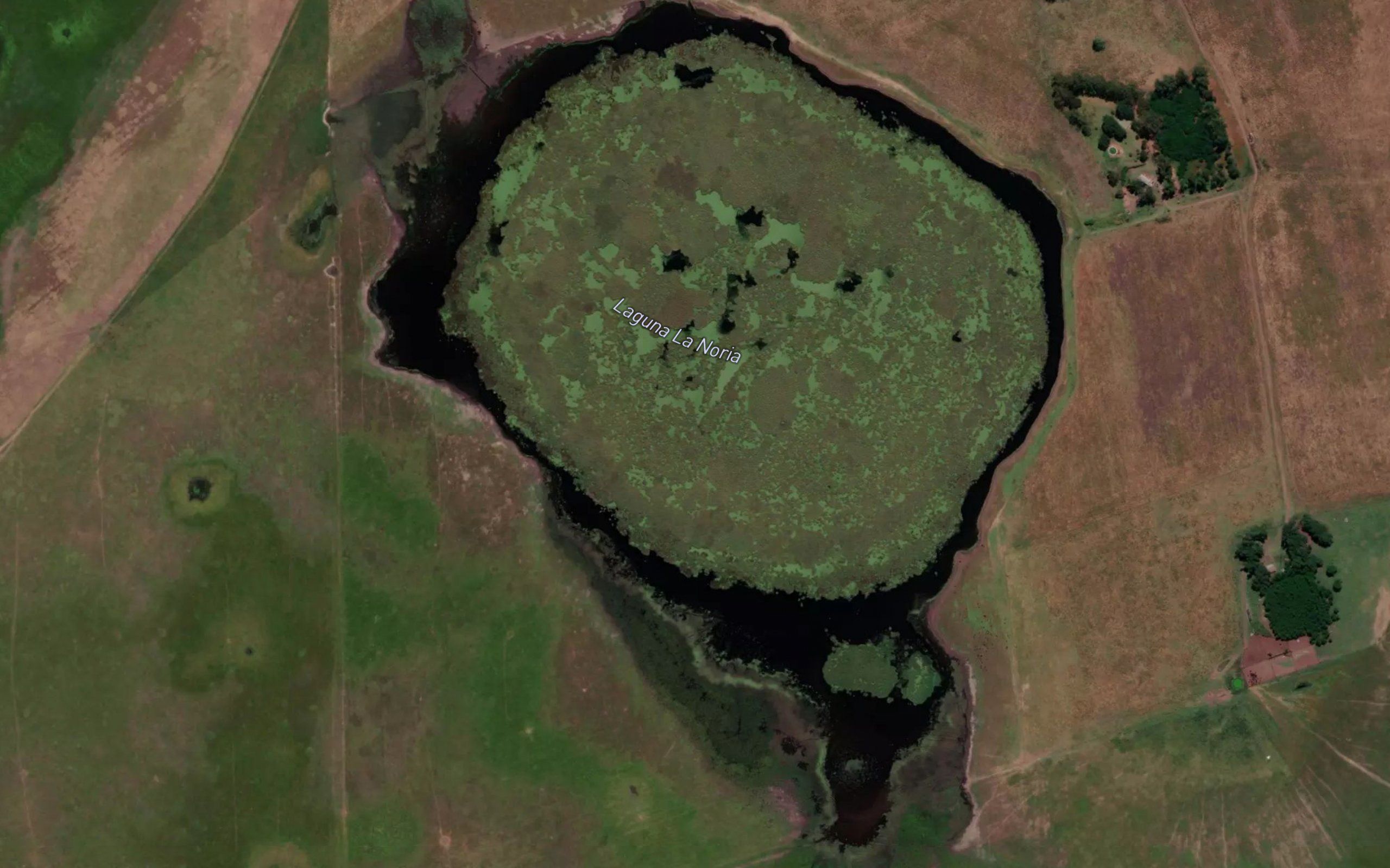 Laguna La Noria