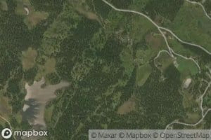 Skorvadn