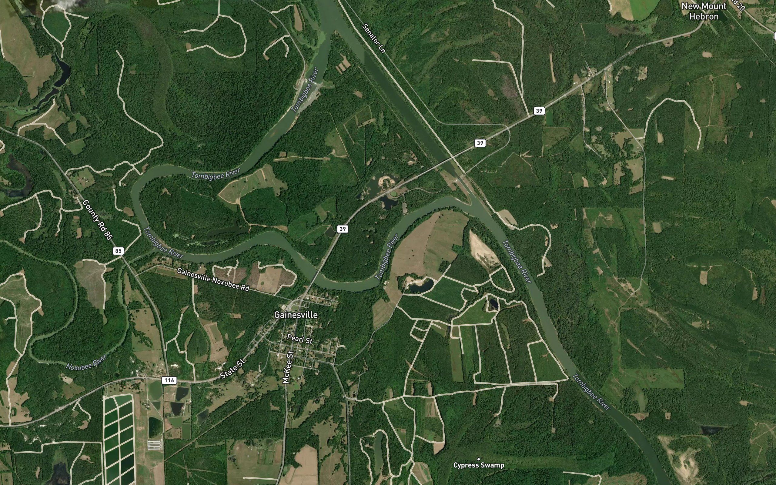 Negro Slough