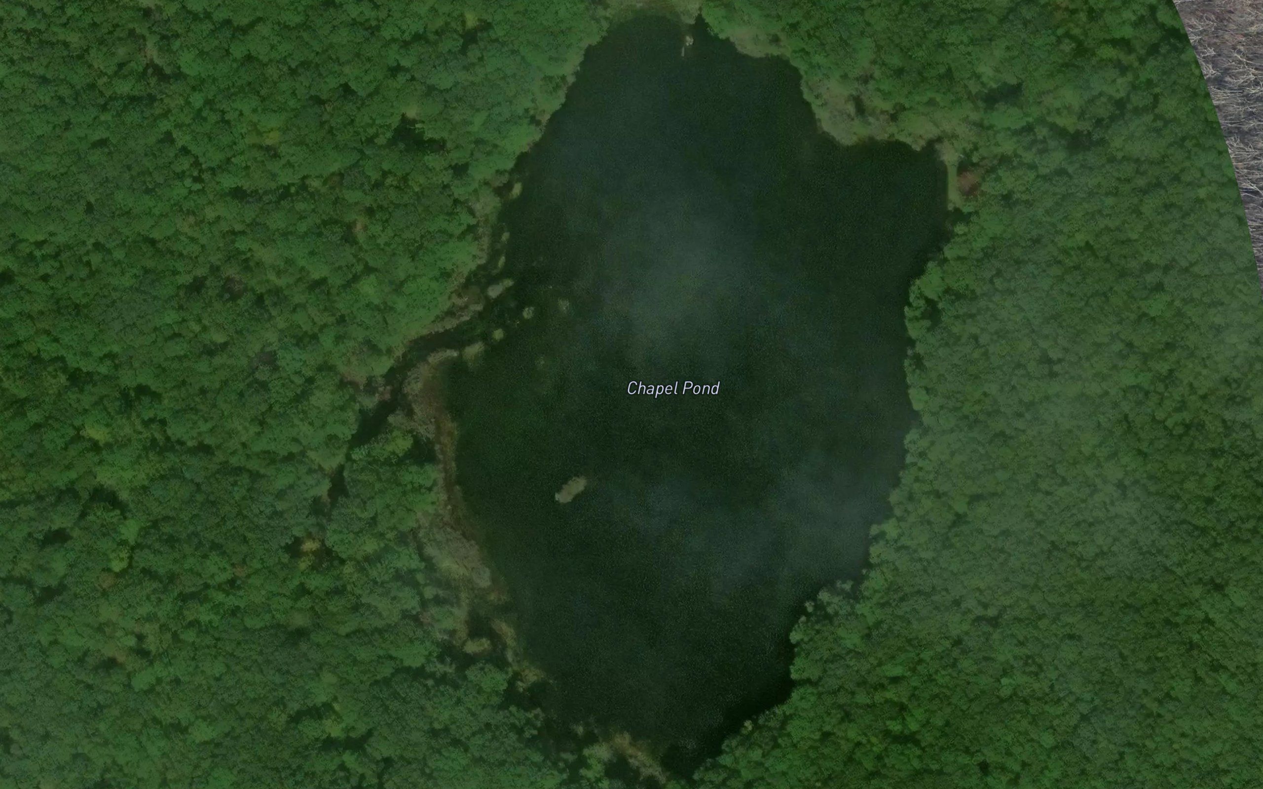 Chapel Pond