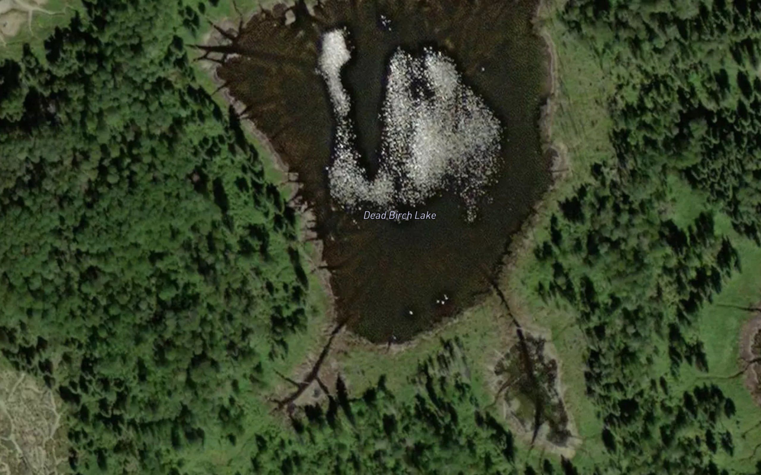 Dead Birch Lake