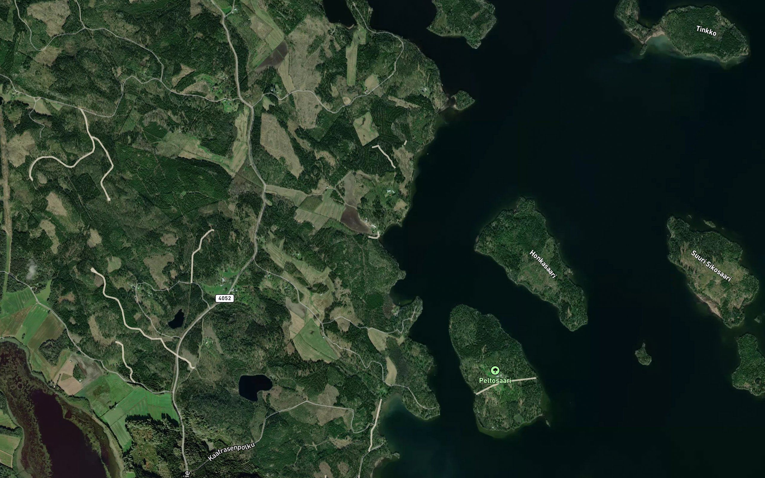 Liekkiinojansuu