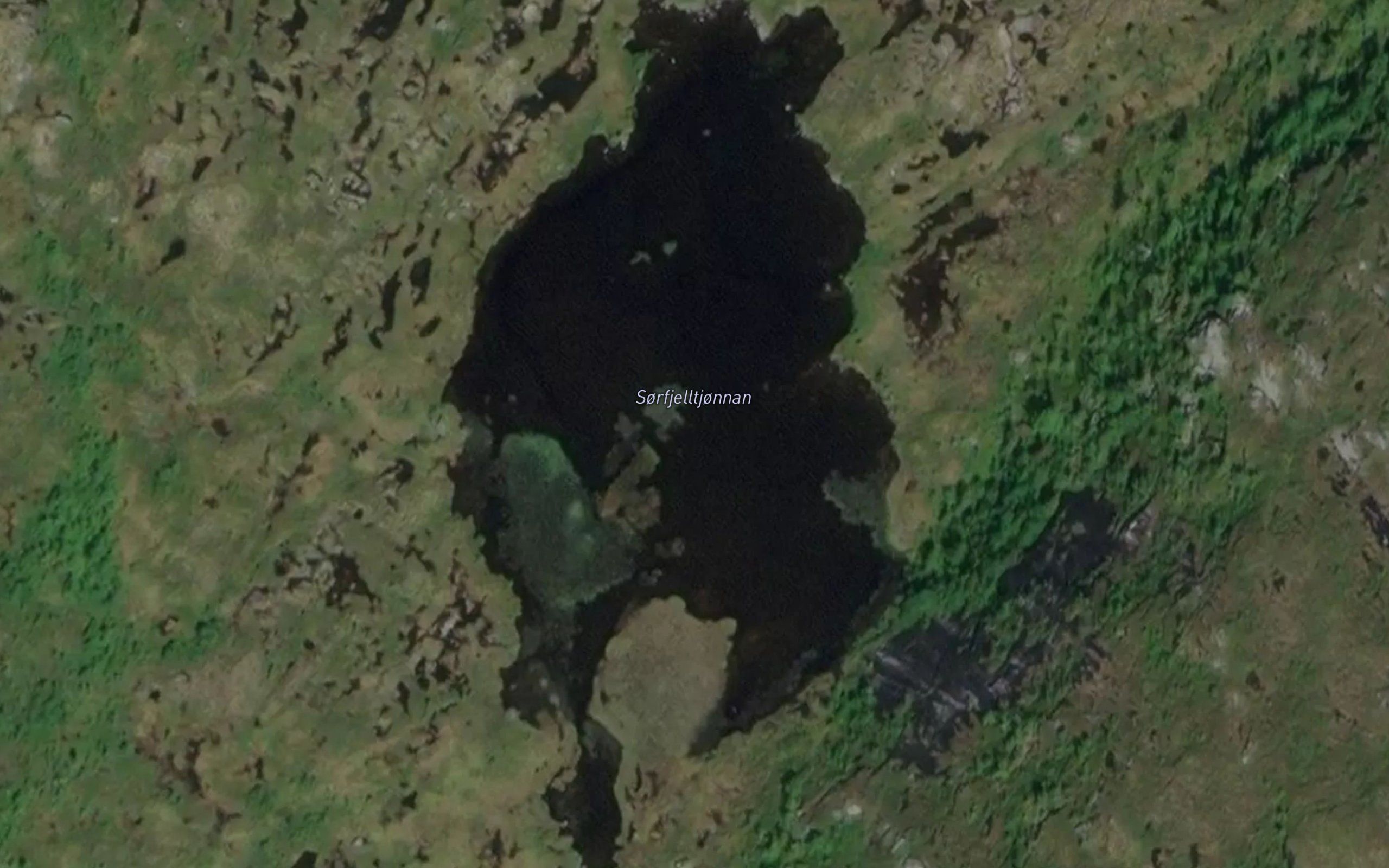 Sorfjelltjonnan
