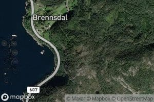 Vetetjorn