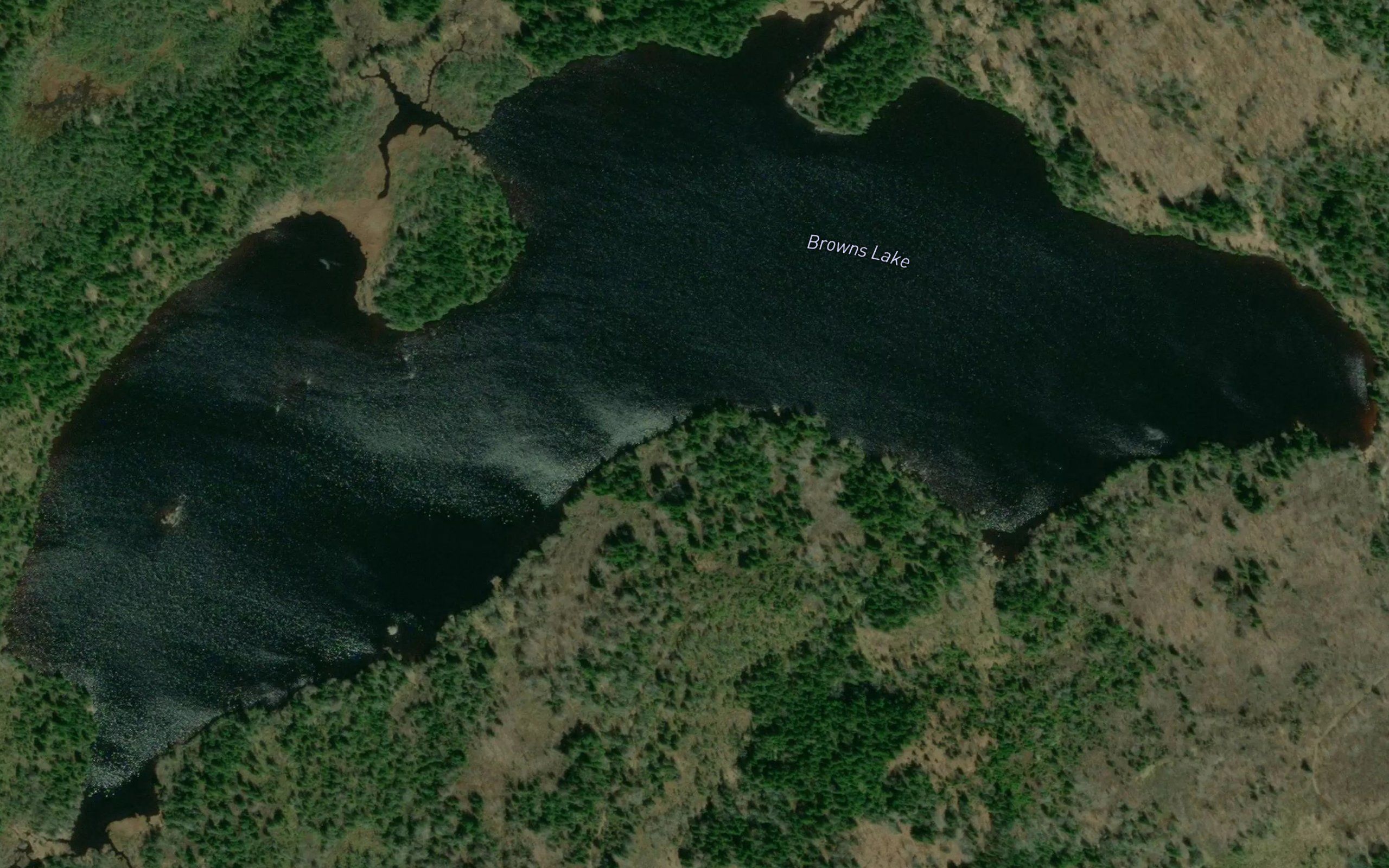 Browns Lake