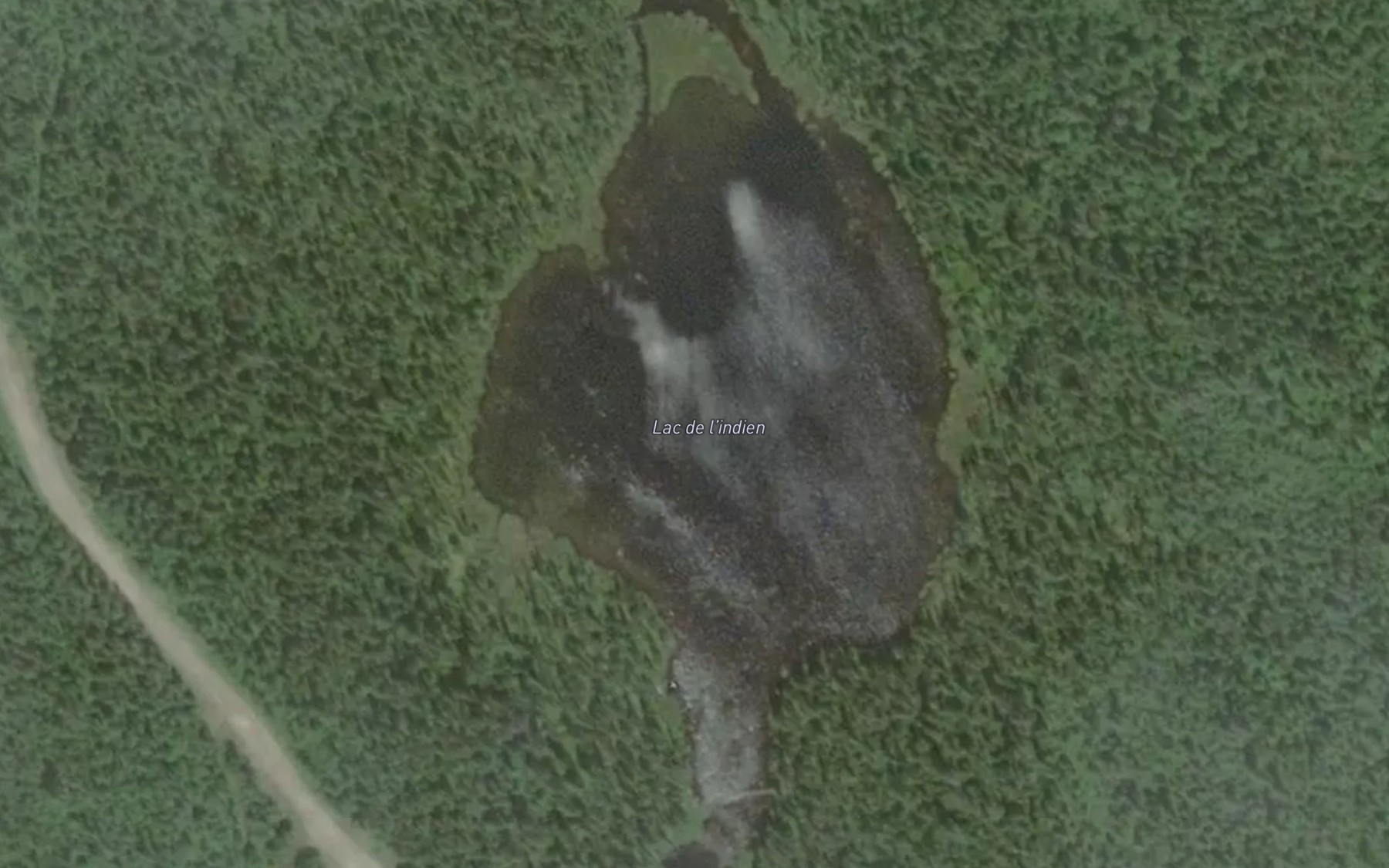 Satellite map of the Lac de l'Indien