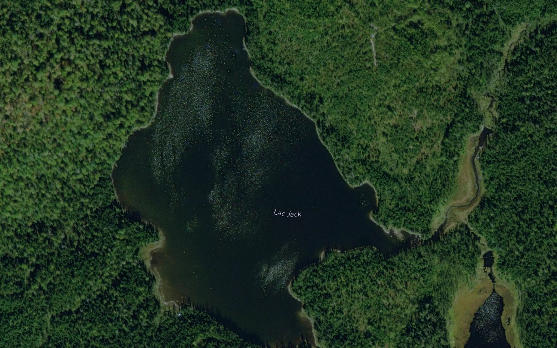 Satellite map of the Lac Jack