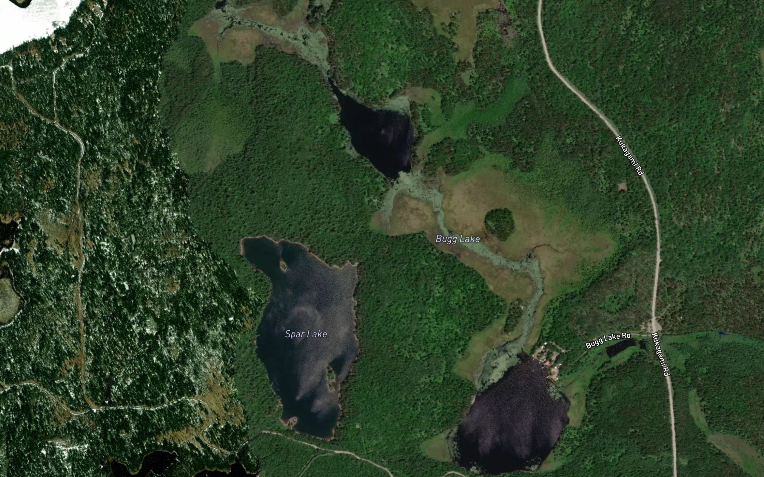 Bugg Lake
