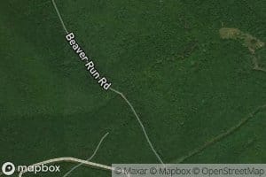 Left Fork Beaverdam Run