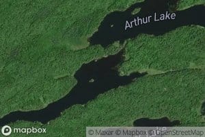 Arthur Lake