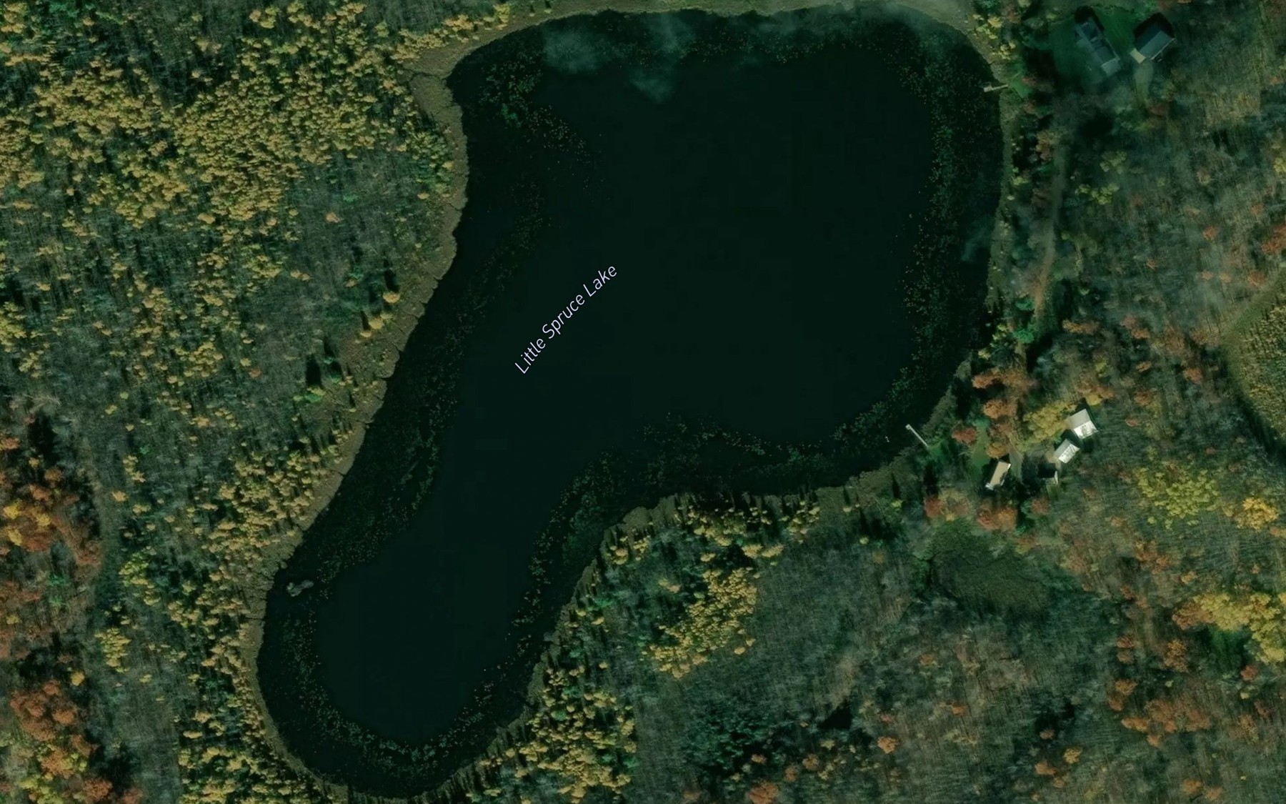Satellite map of the Little Spruce Lake