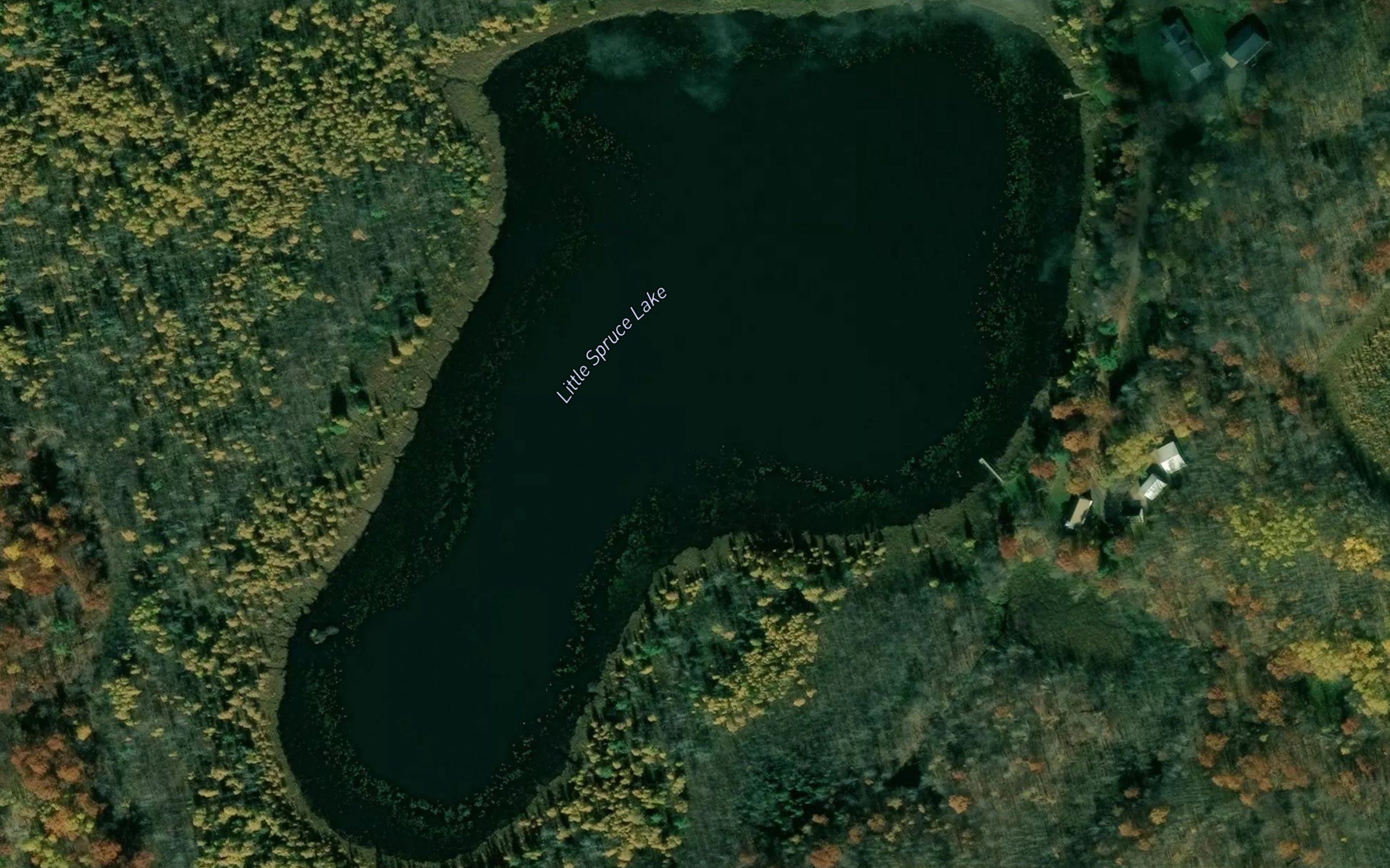 Little Spruce Lake
