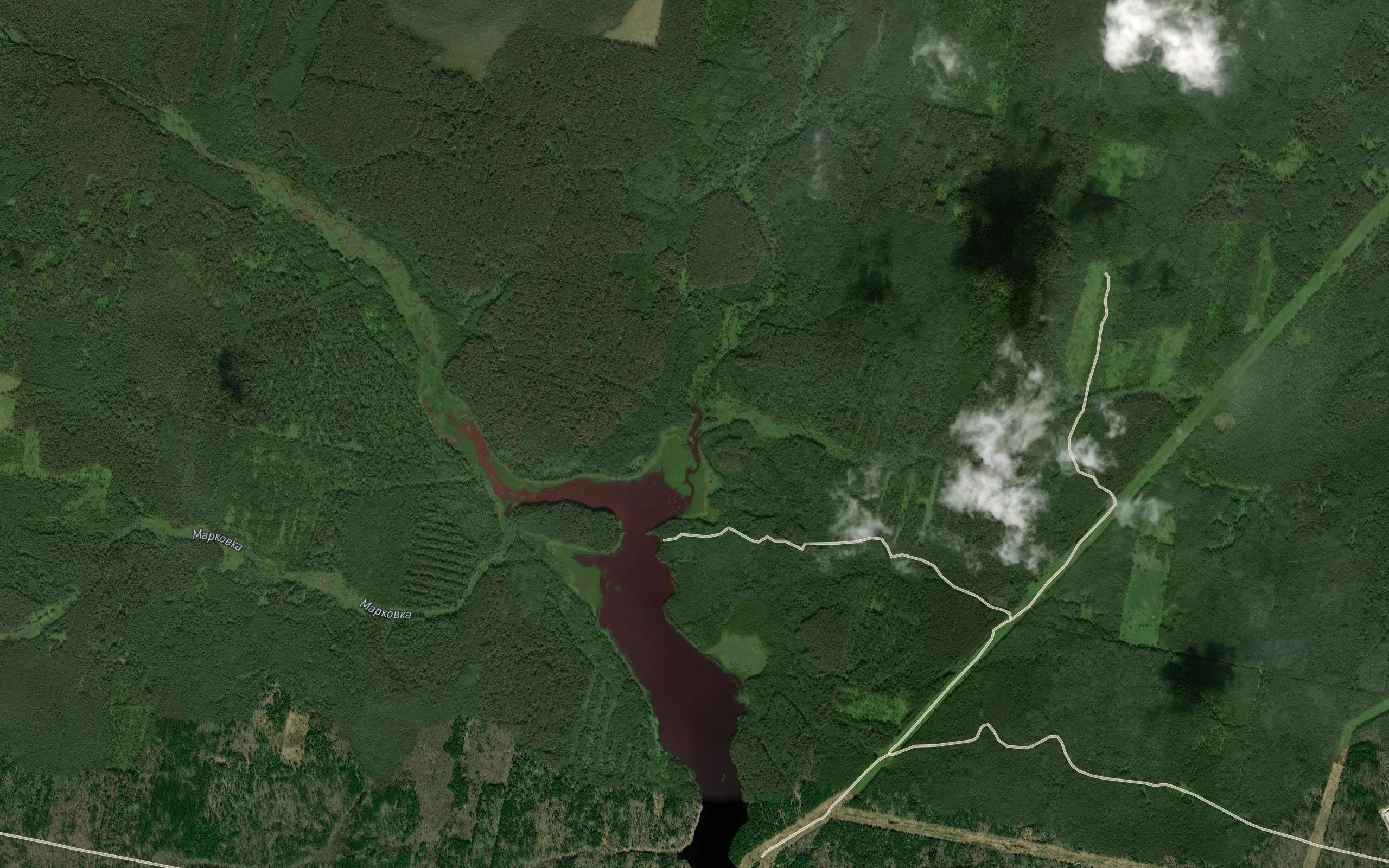 Osinovka