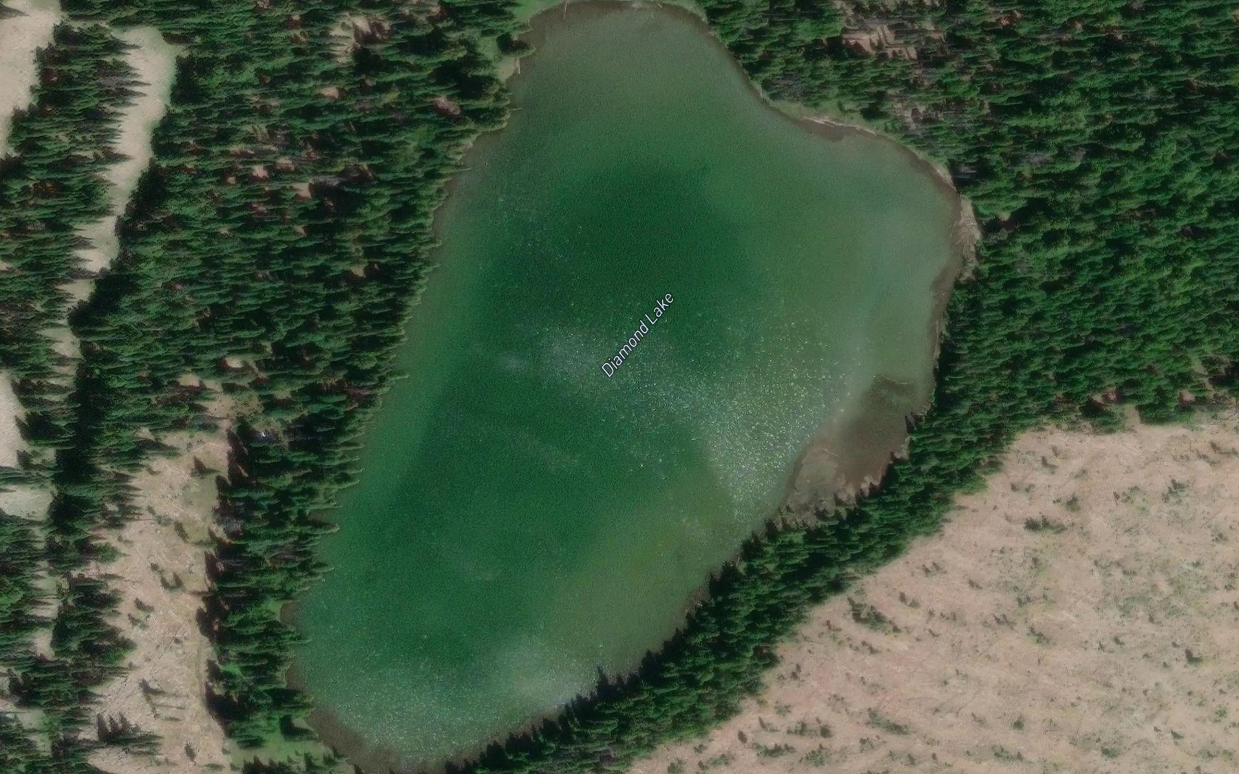 Satellite map of the Diamond Lake