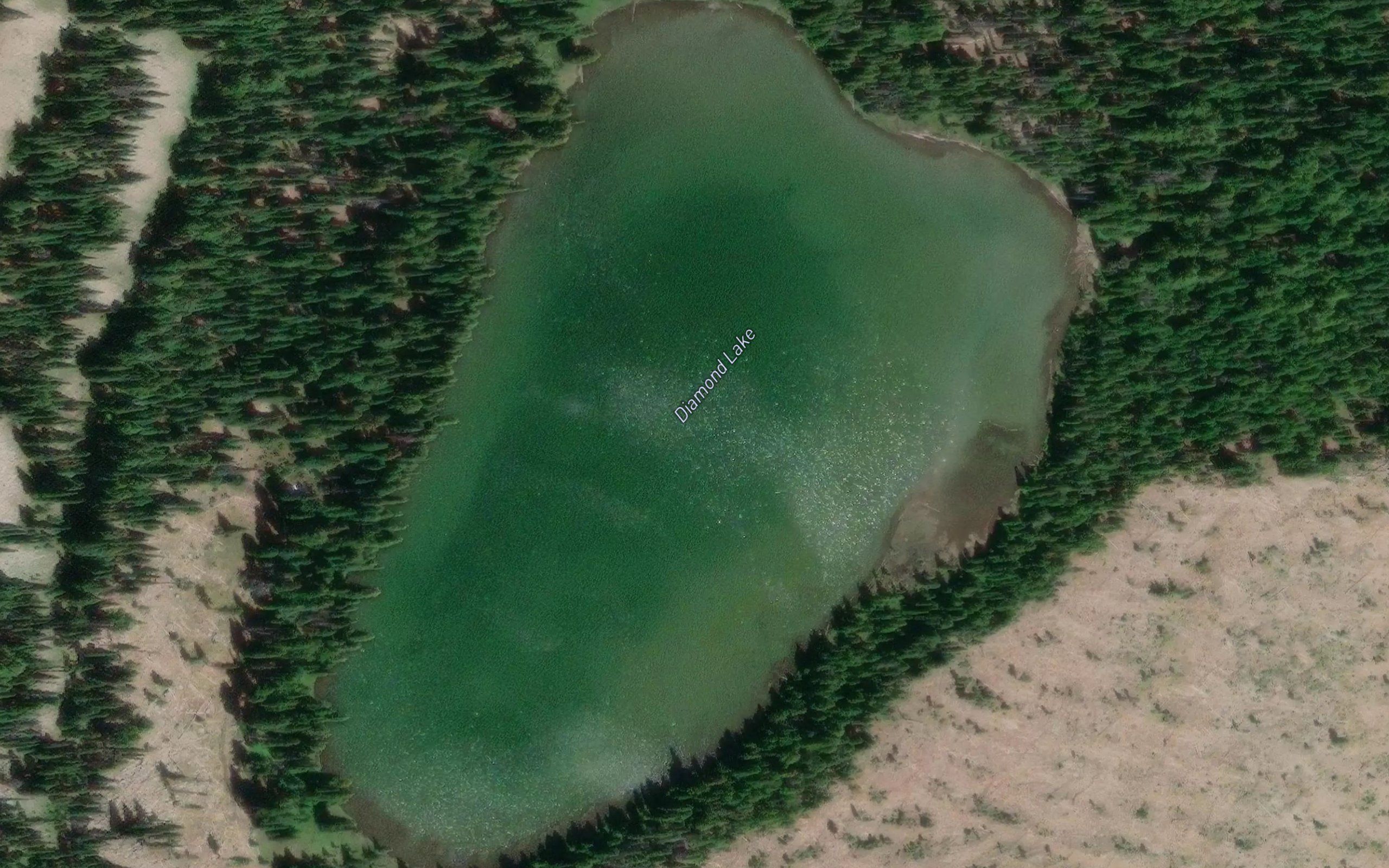 Diamond Lake