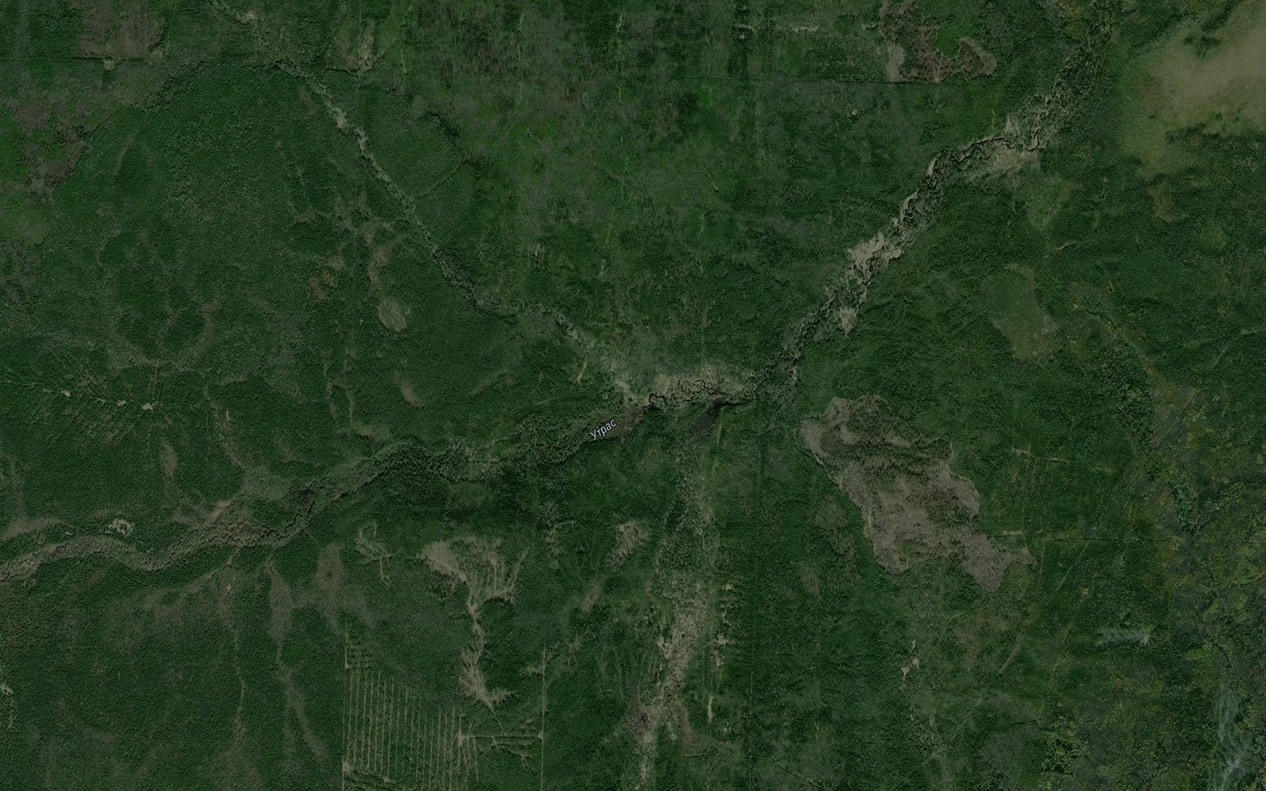 Satellite map of the Kamenka