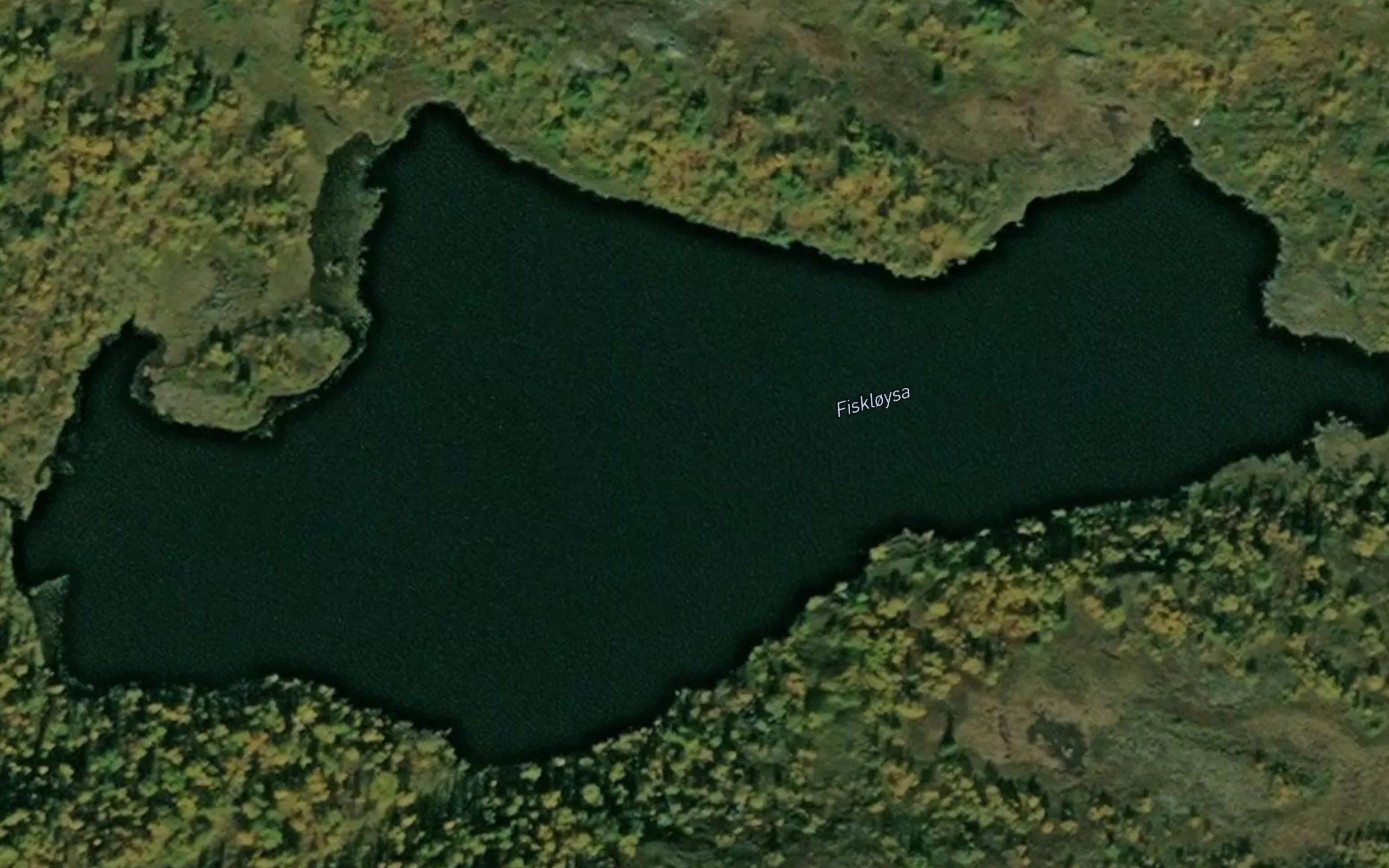 Fiskloysa