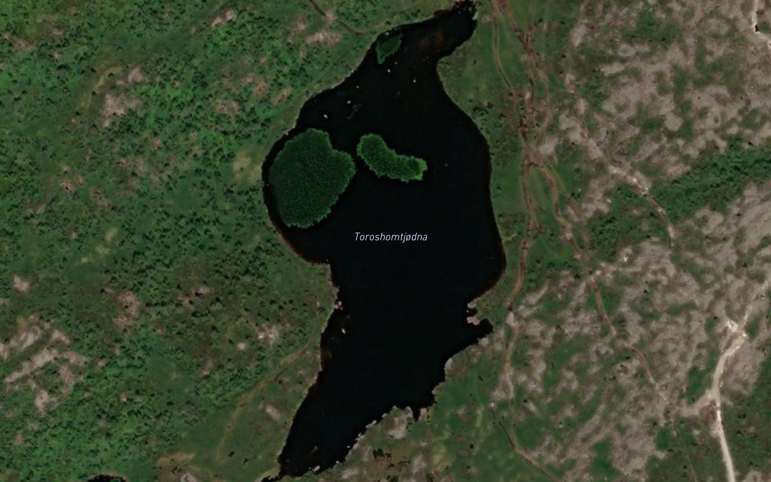 Torroshomtjorni