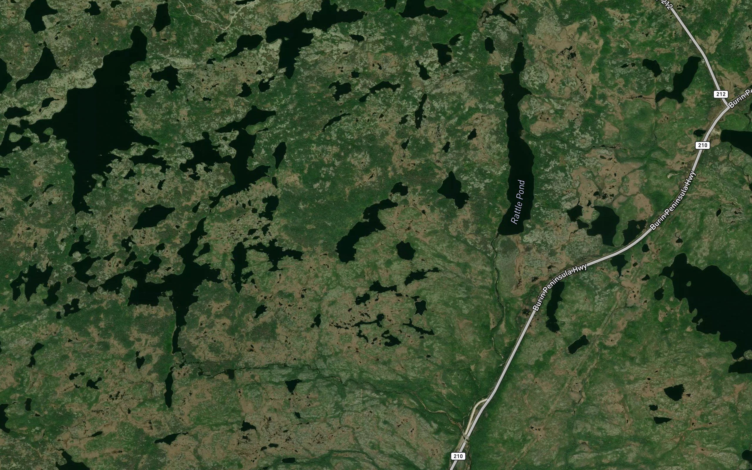Woody Ridge Pond