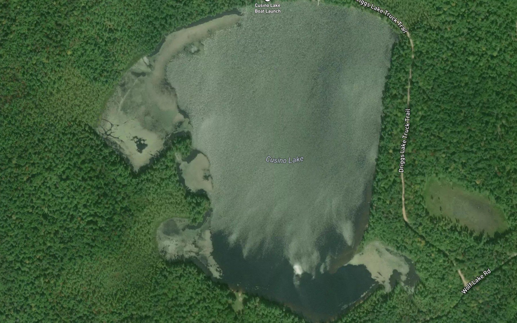 Satellite map of the Cusino Lake