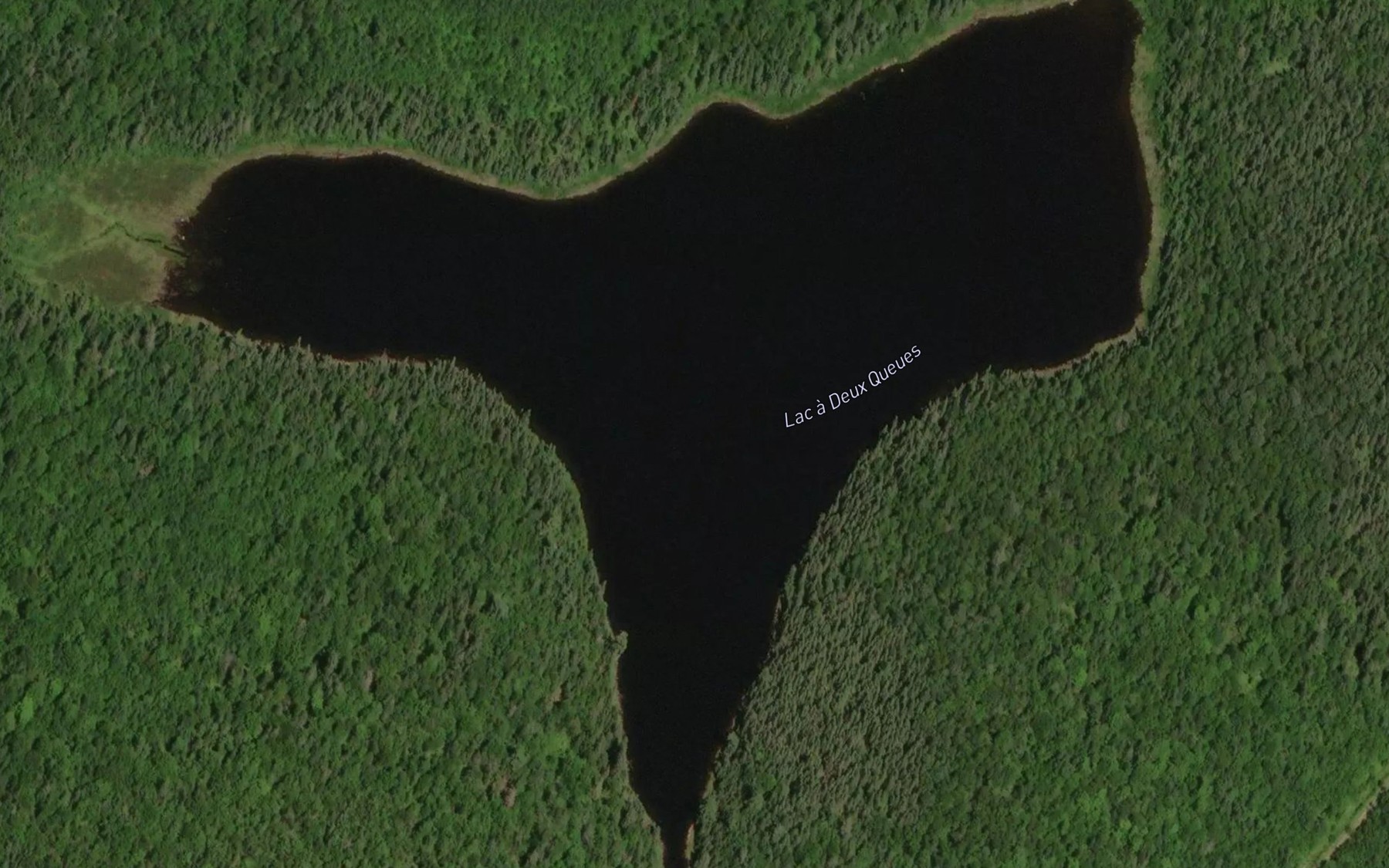 Satellite map of the Lac a Deux Queues