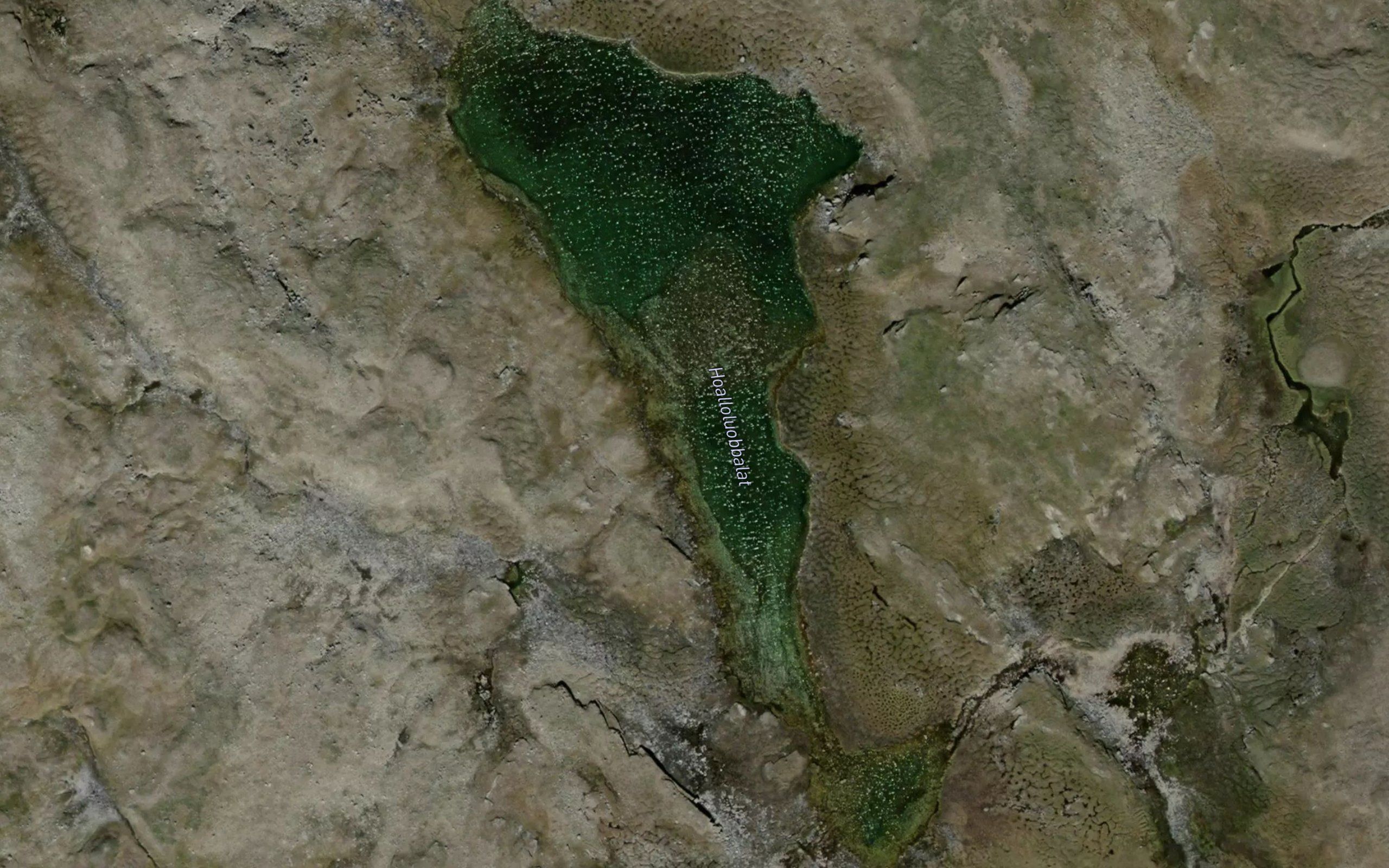Hoalloluobbalat