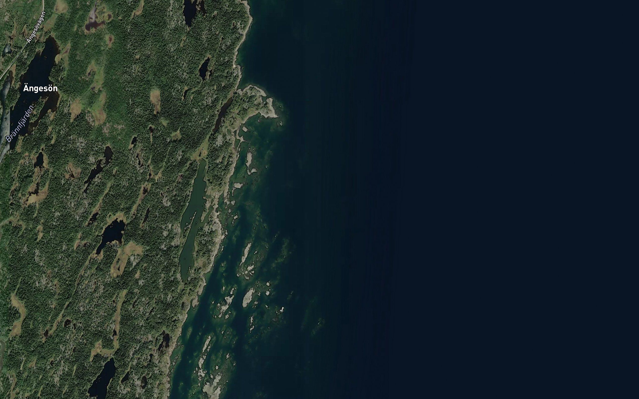 Knolbadarna