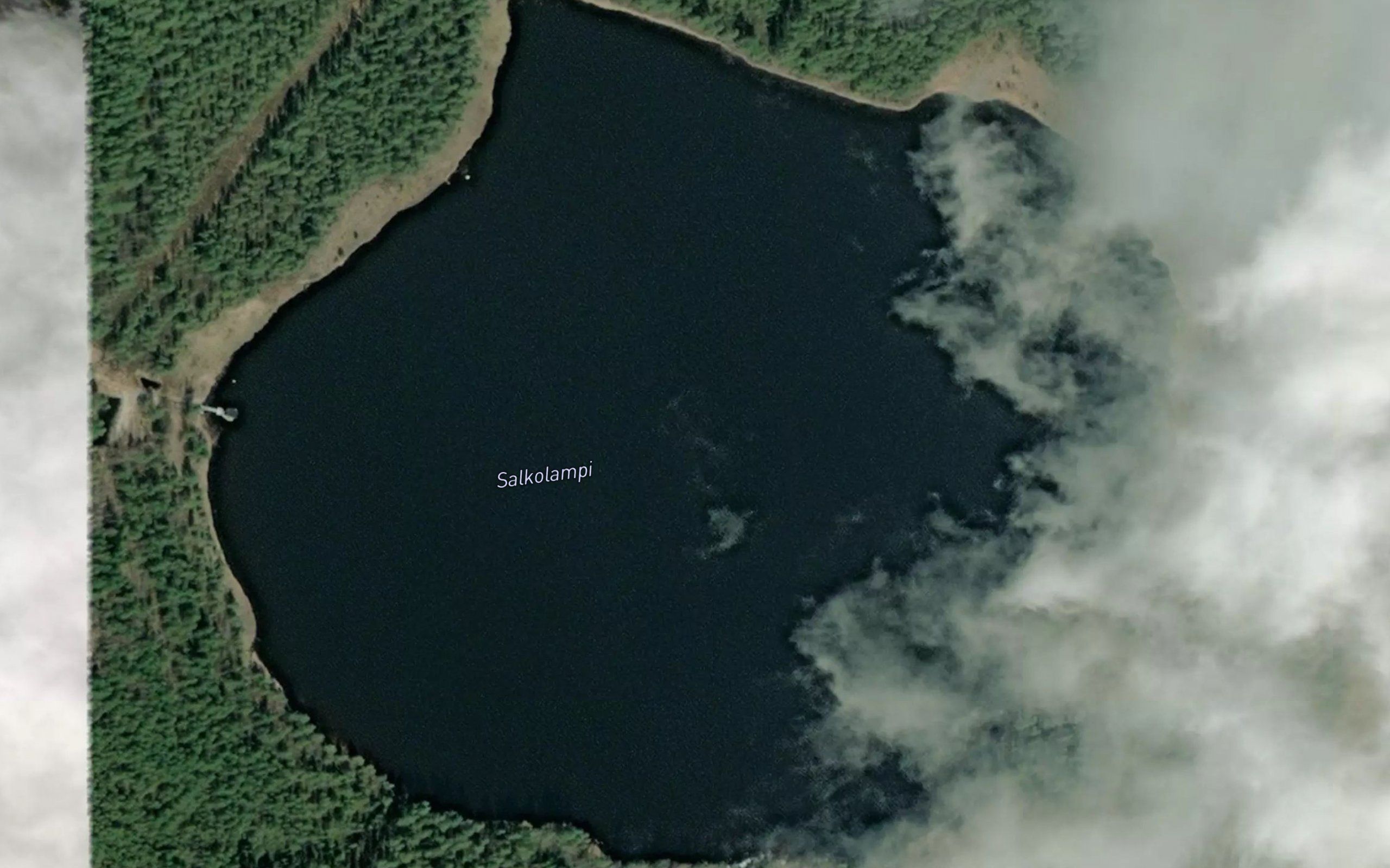 Salkolampi