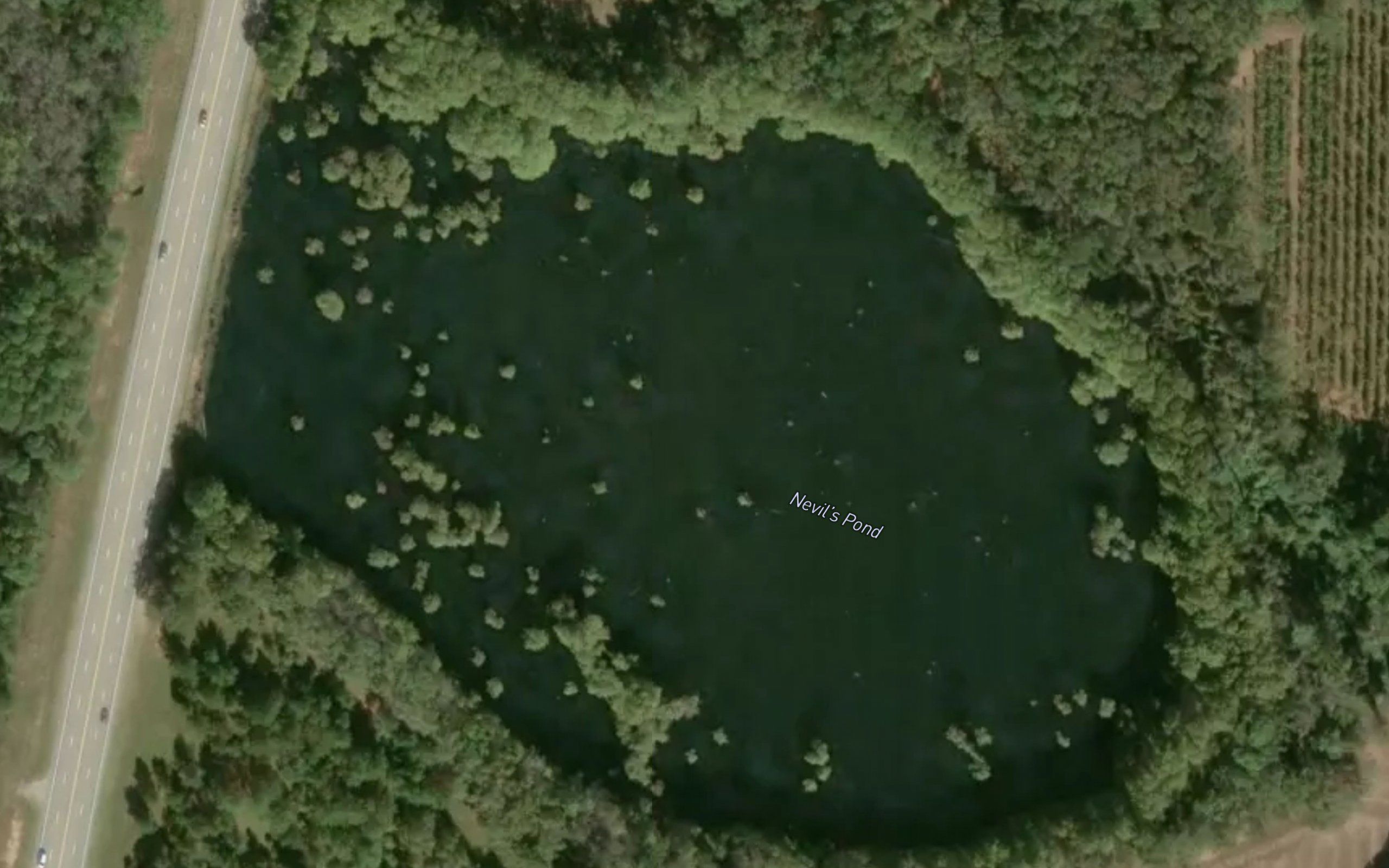 Nevils Pond
