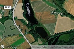 Silvatnet