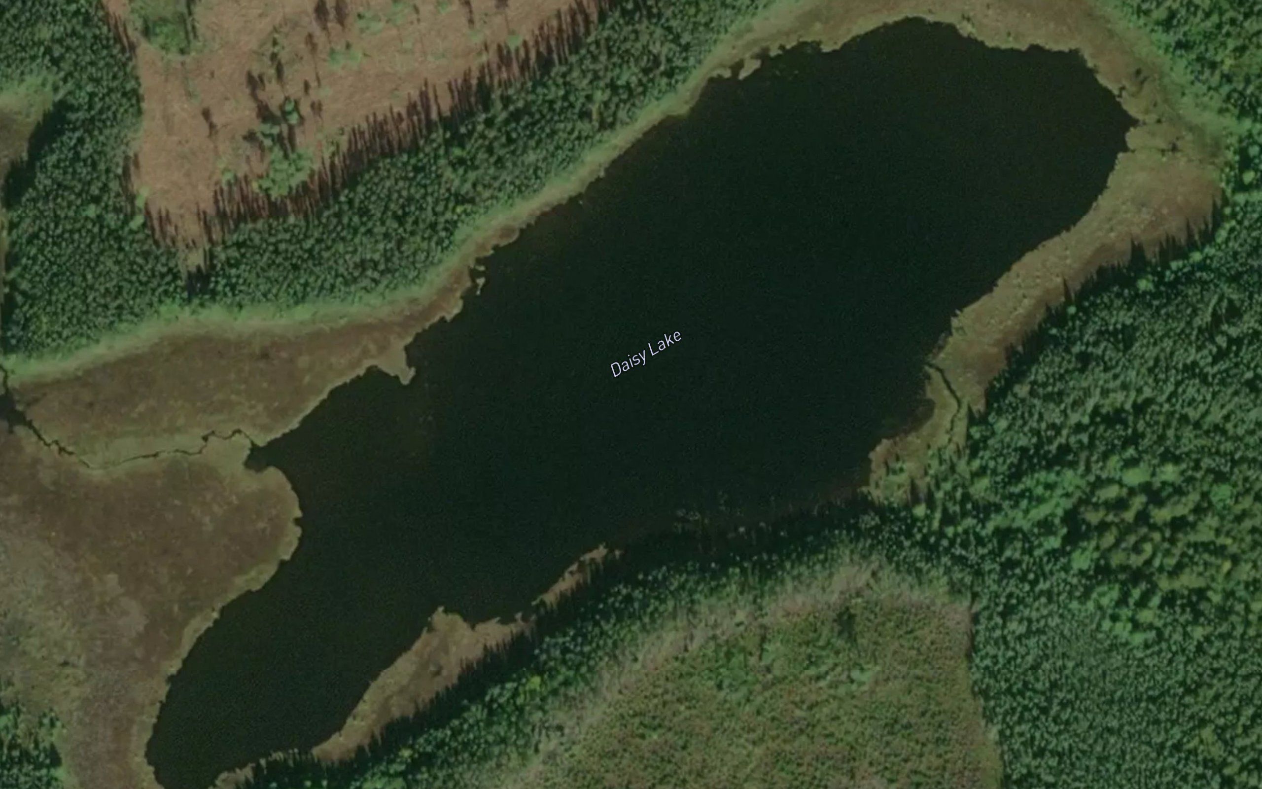 Daisy Lake